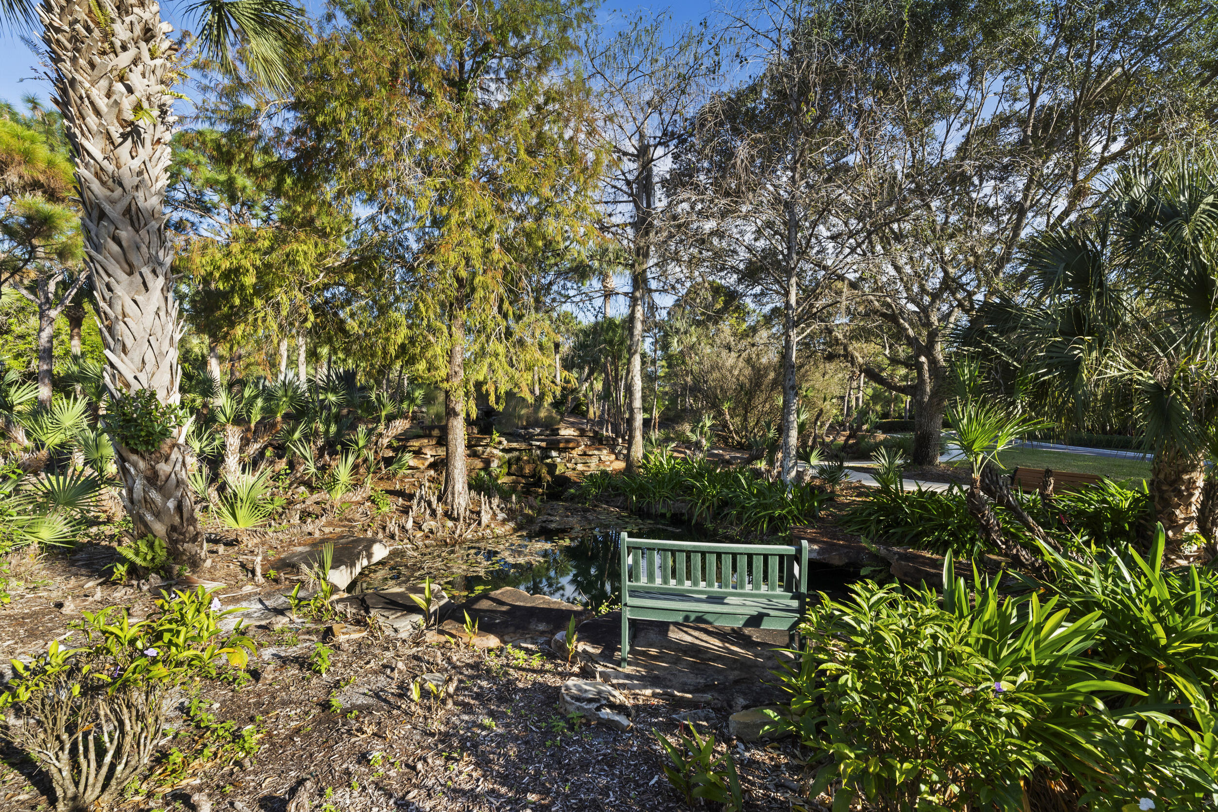 main property photo 39