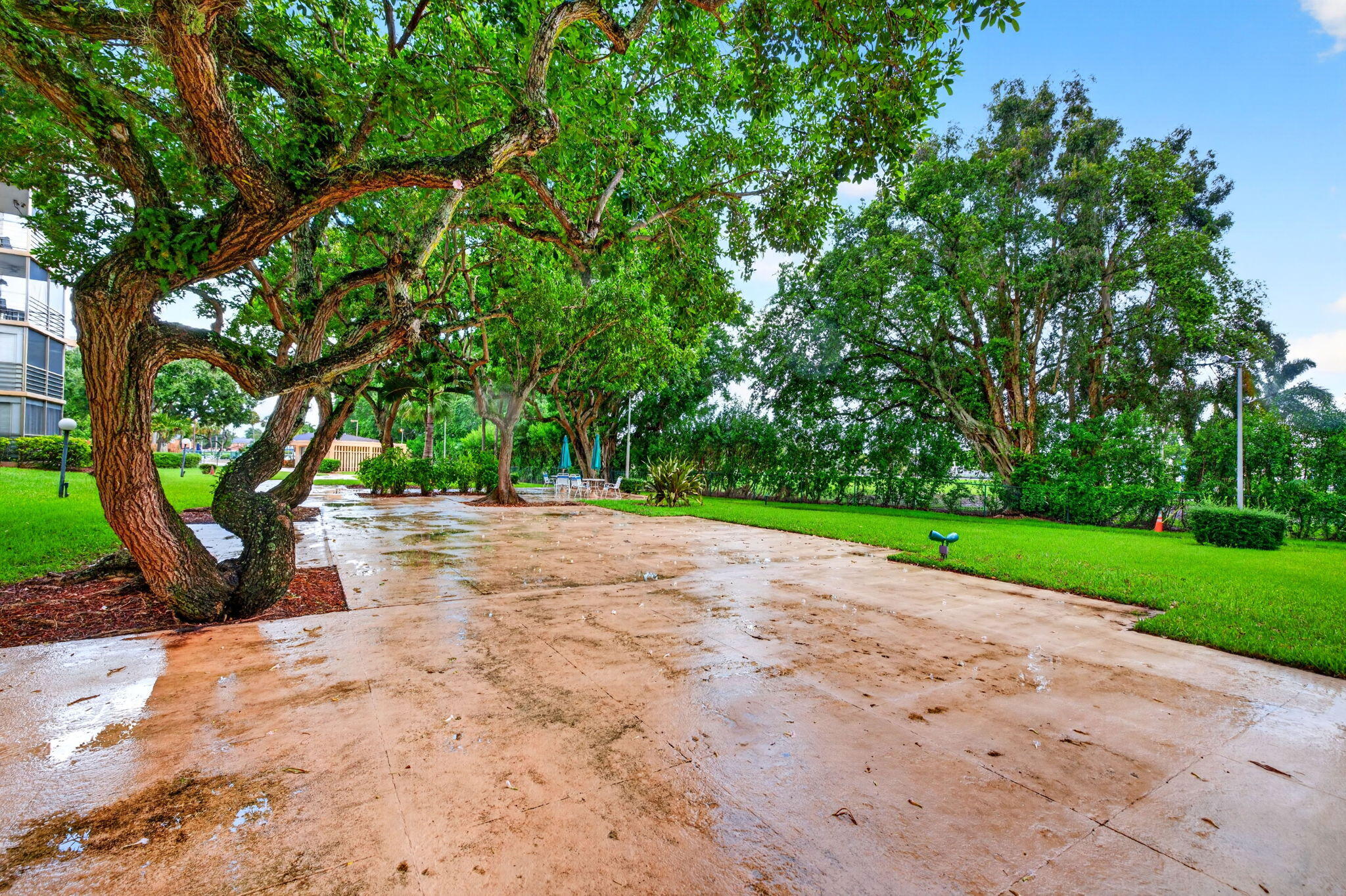 main property photo 62