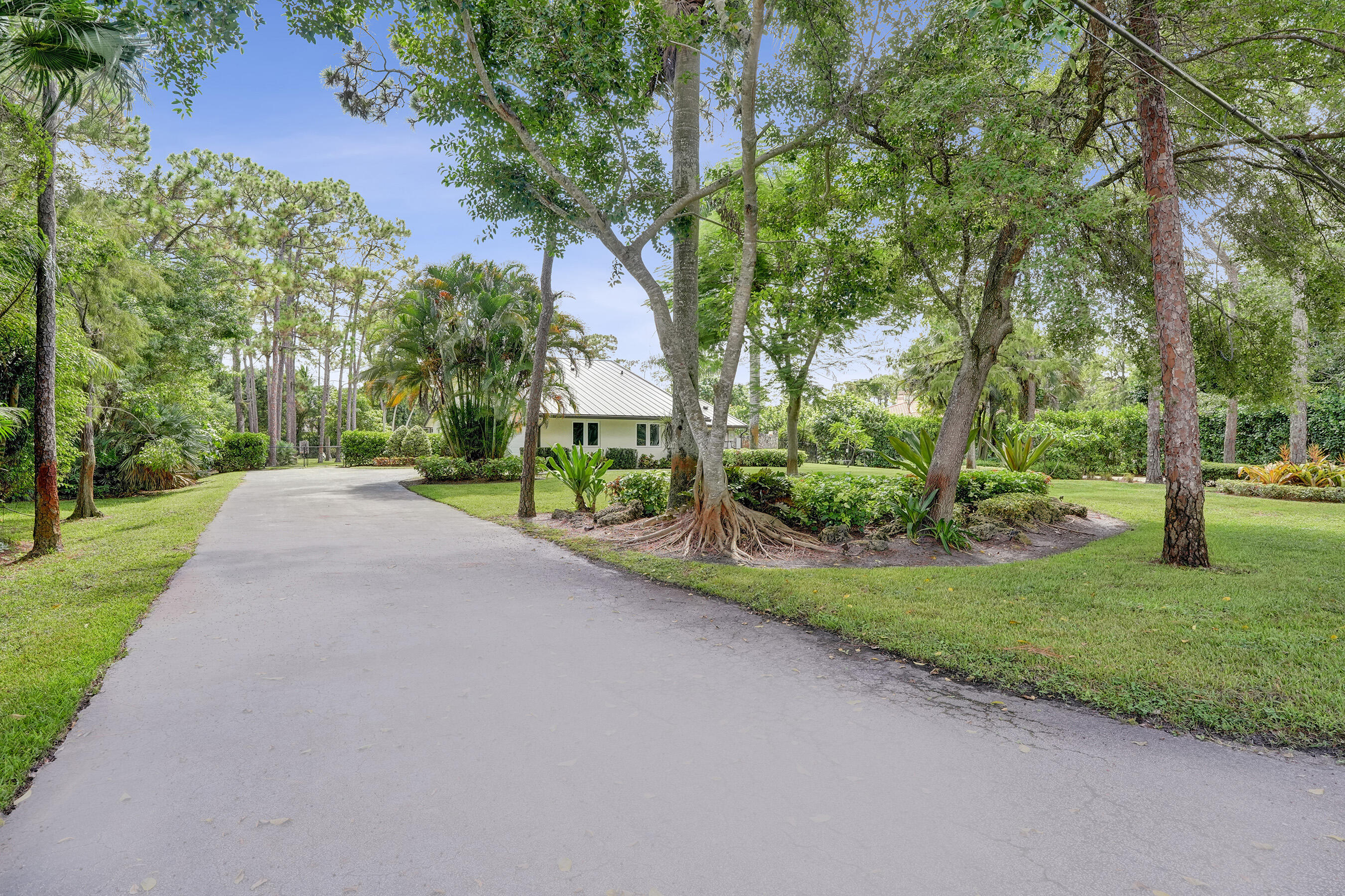 main property photo 59