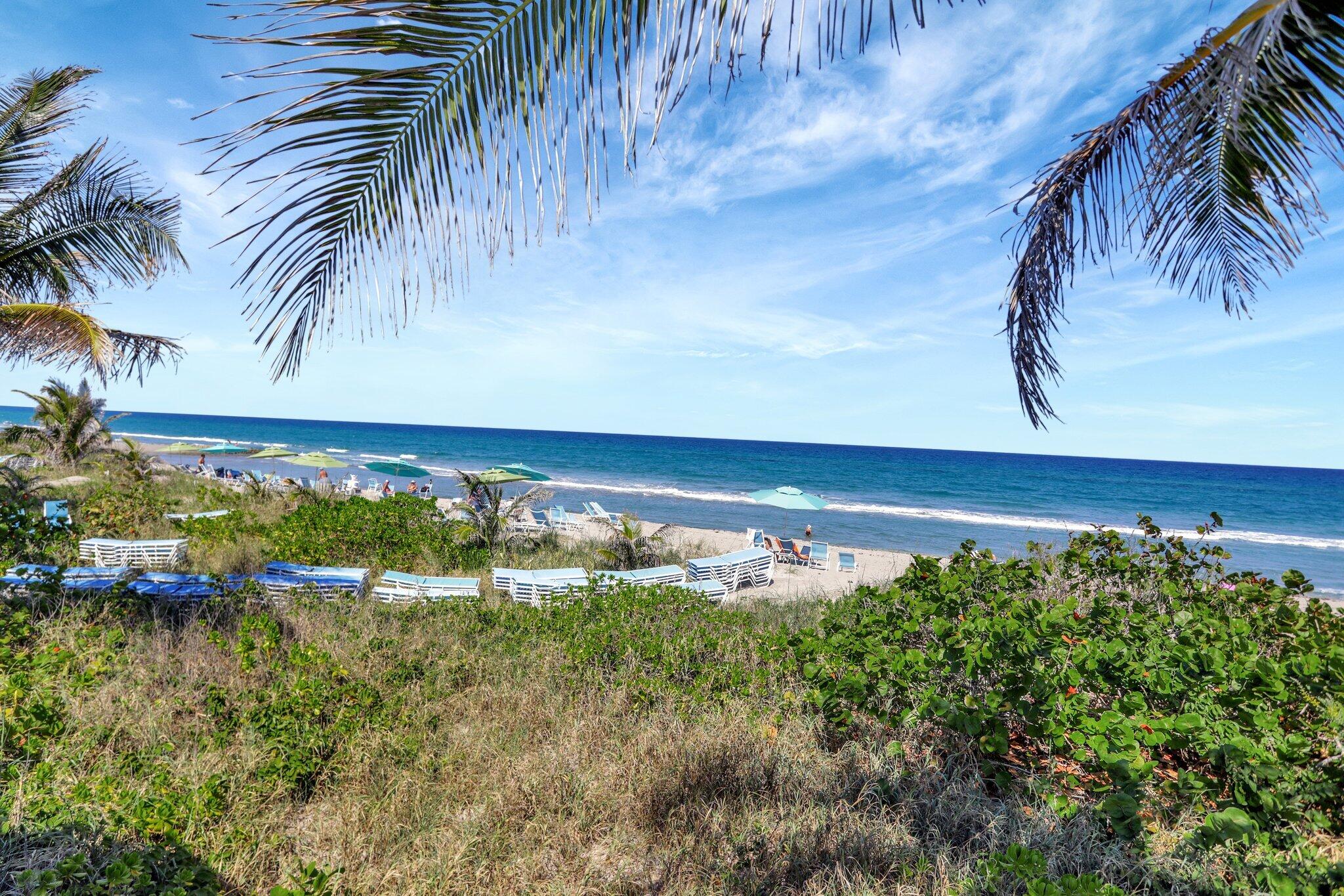 main property photo 68