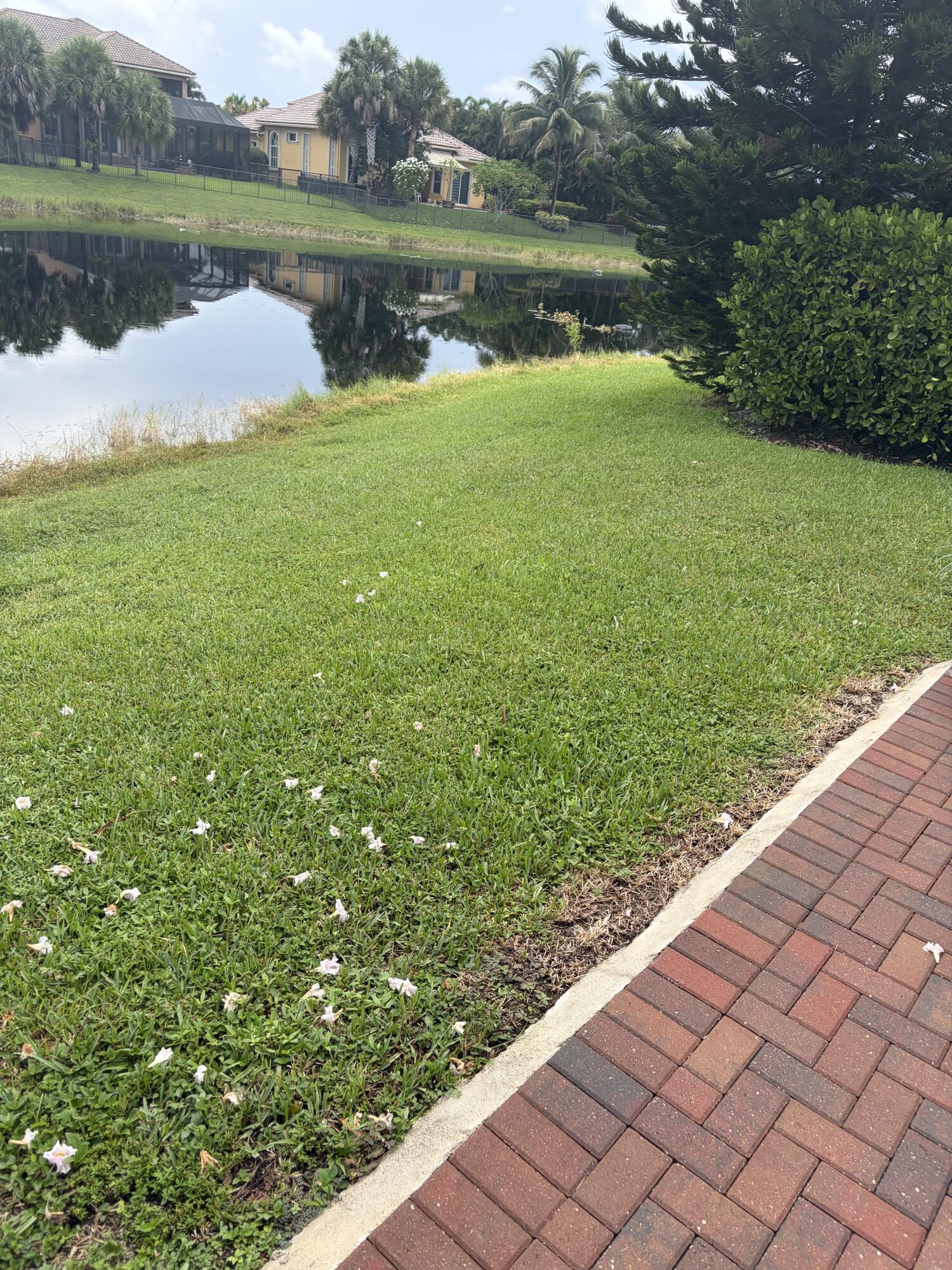 main property photo 59