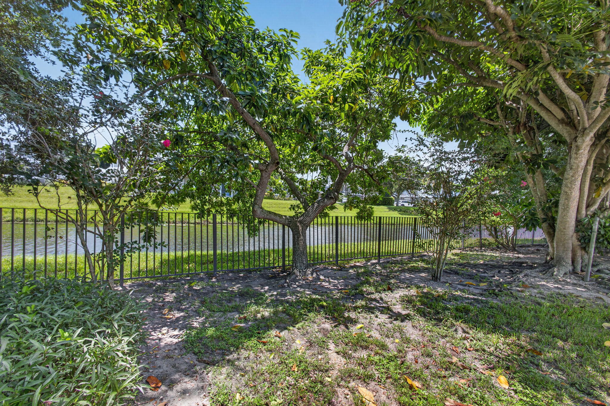 main property photo 58
