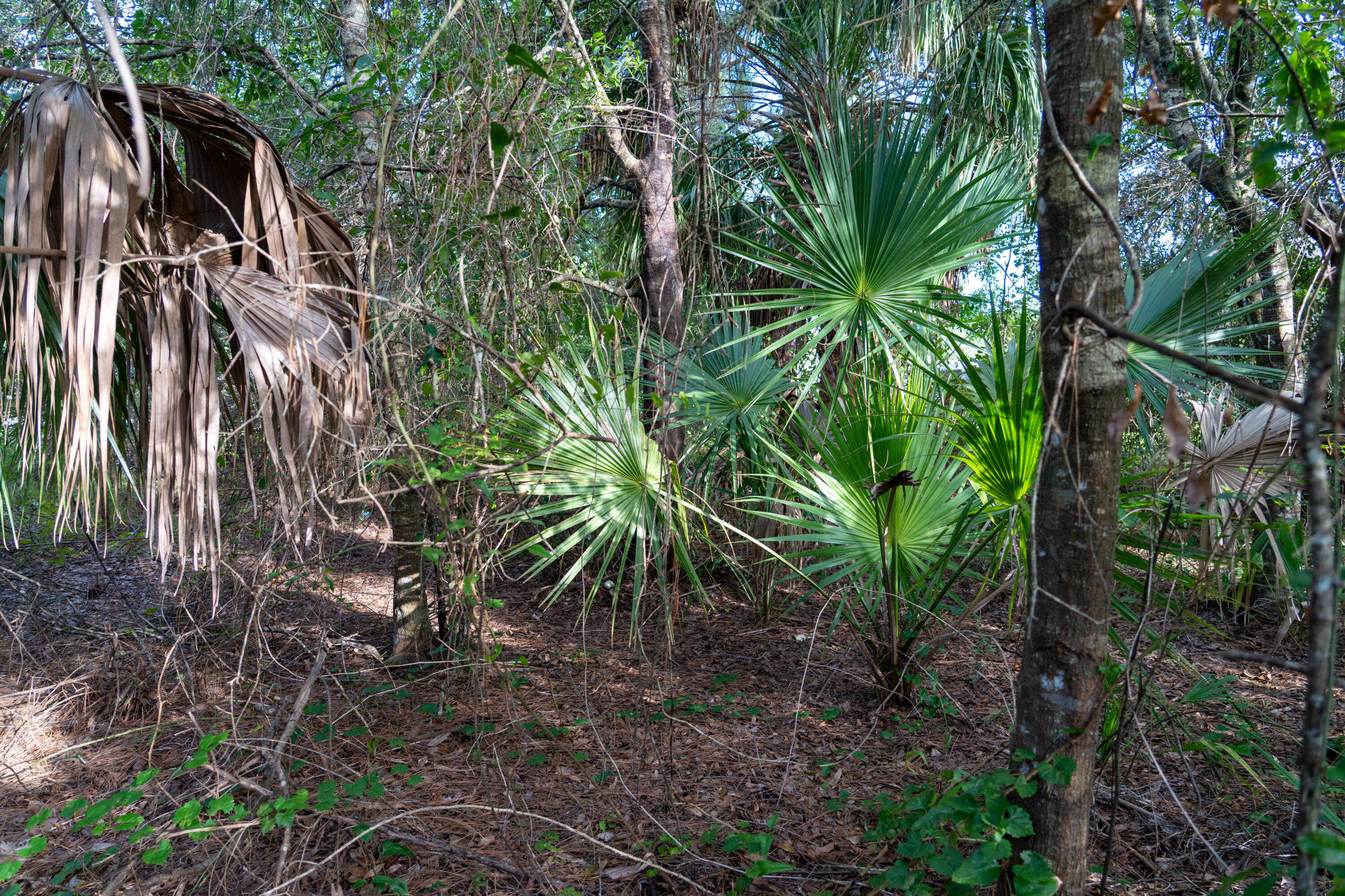 main property photo 38