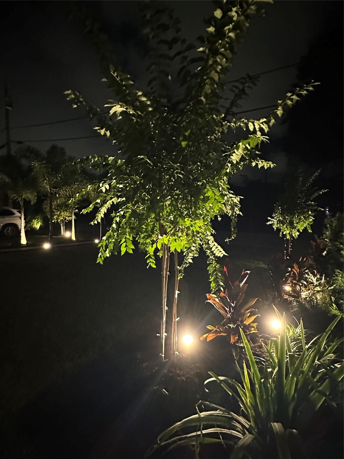 main property photo 62