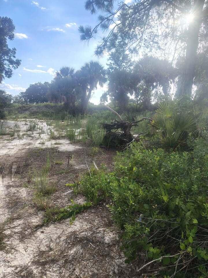 main property photo 15