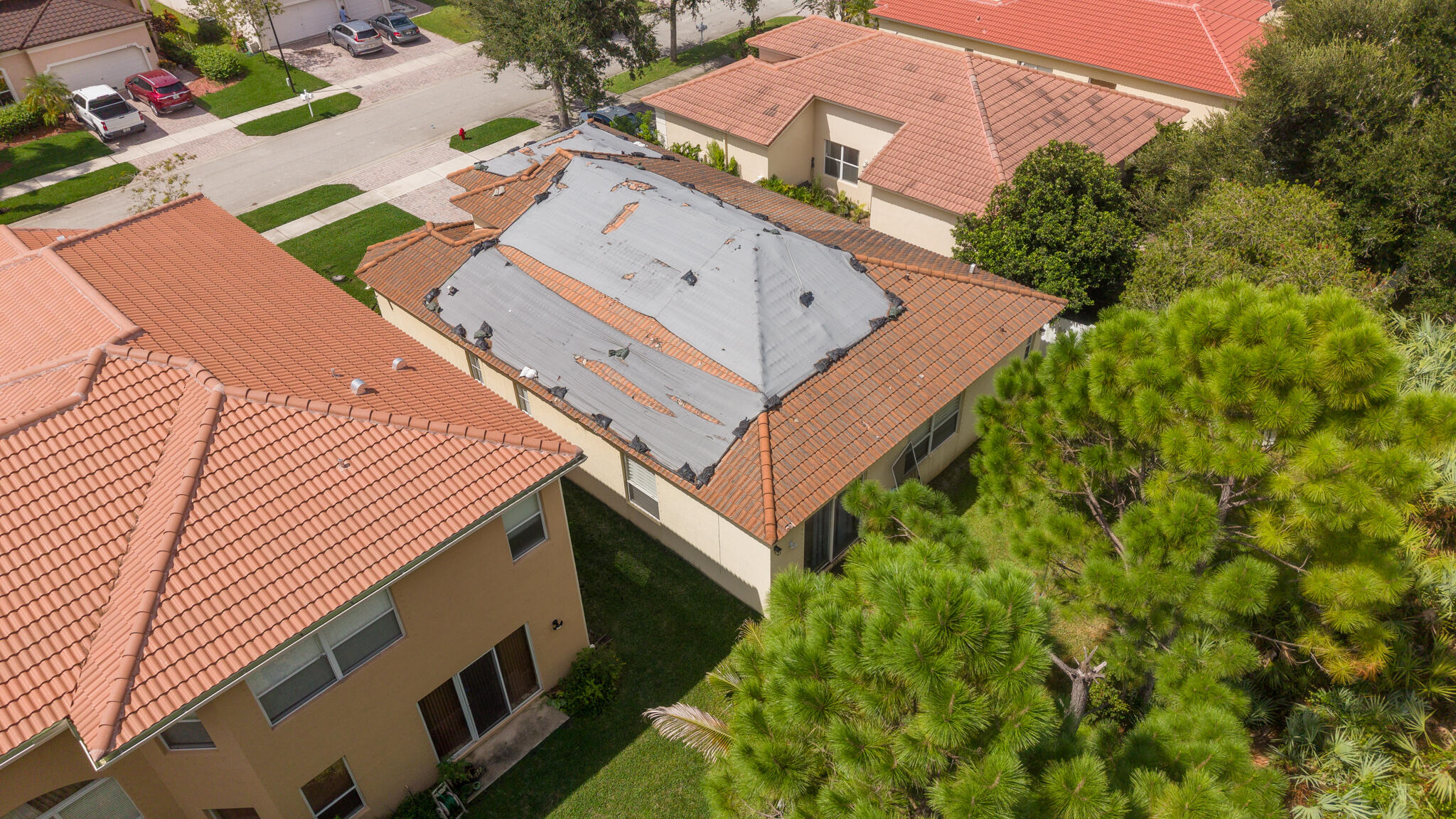 main property photo 43