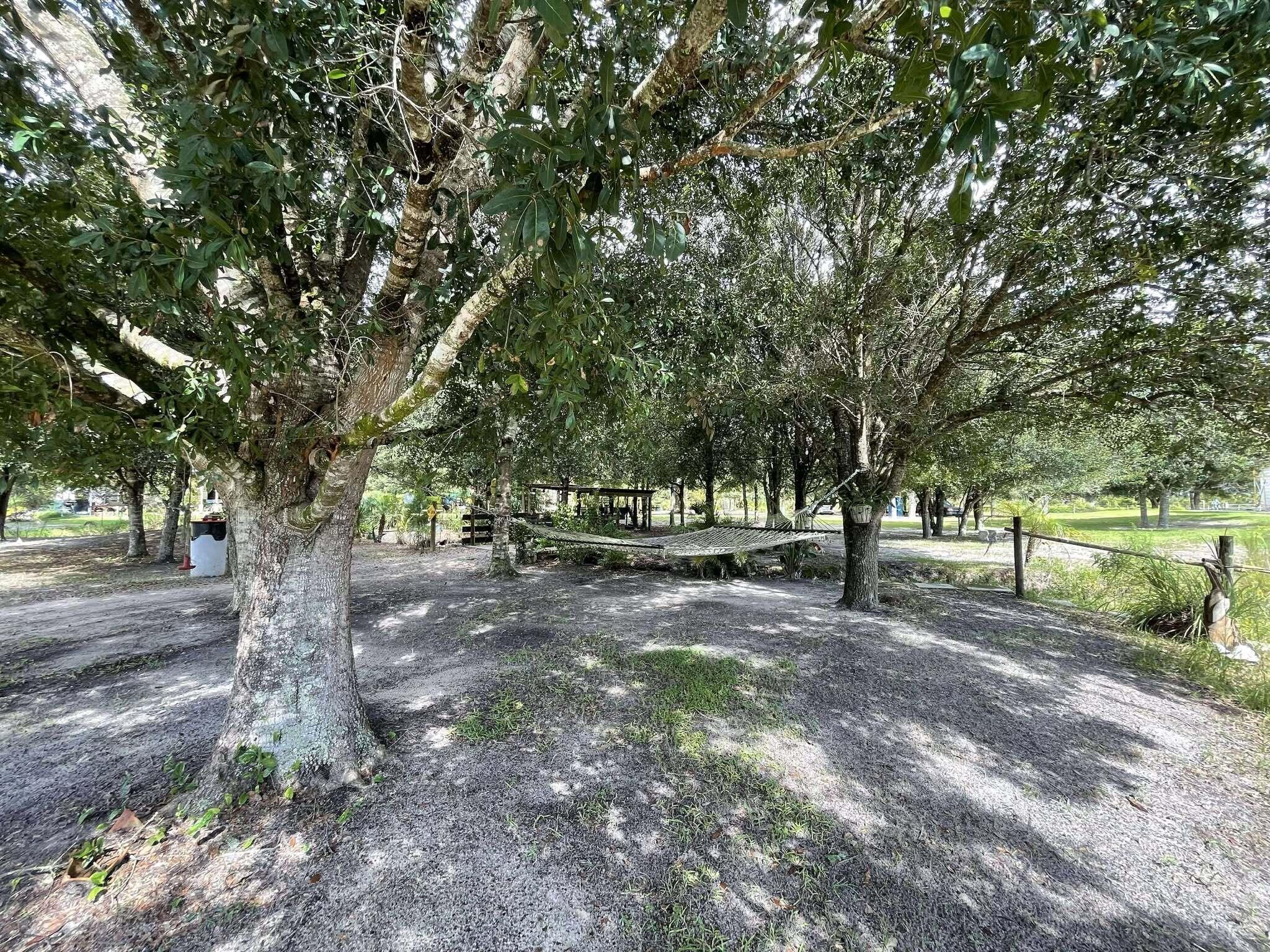 main property photo 50