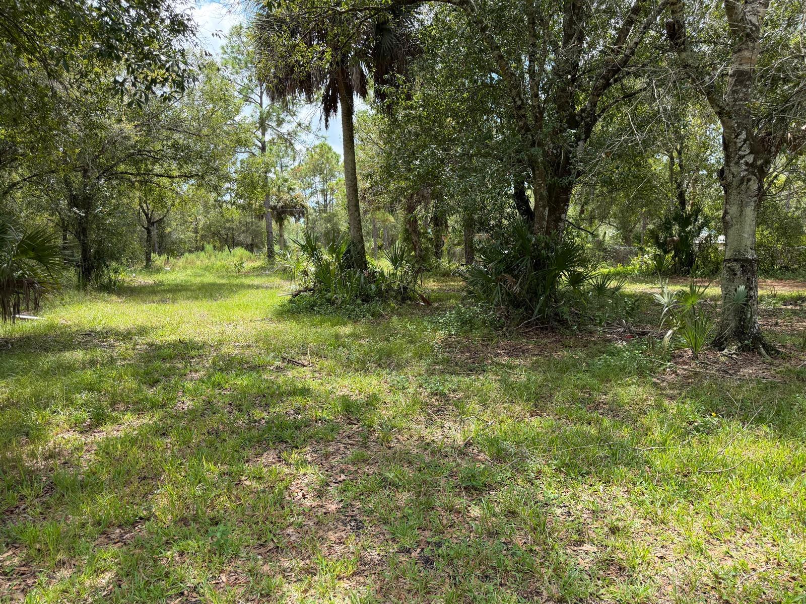 main property photo 39