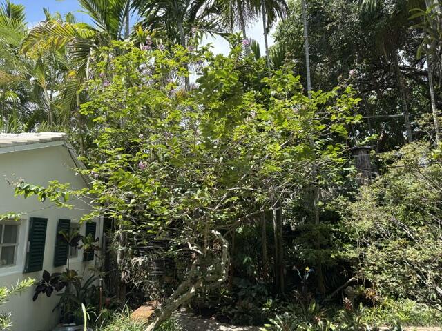 main property photo 60
