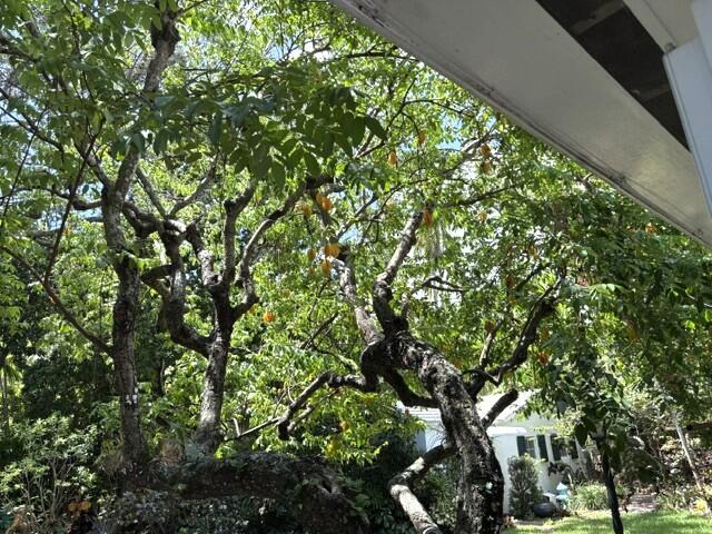 main property photo 62