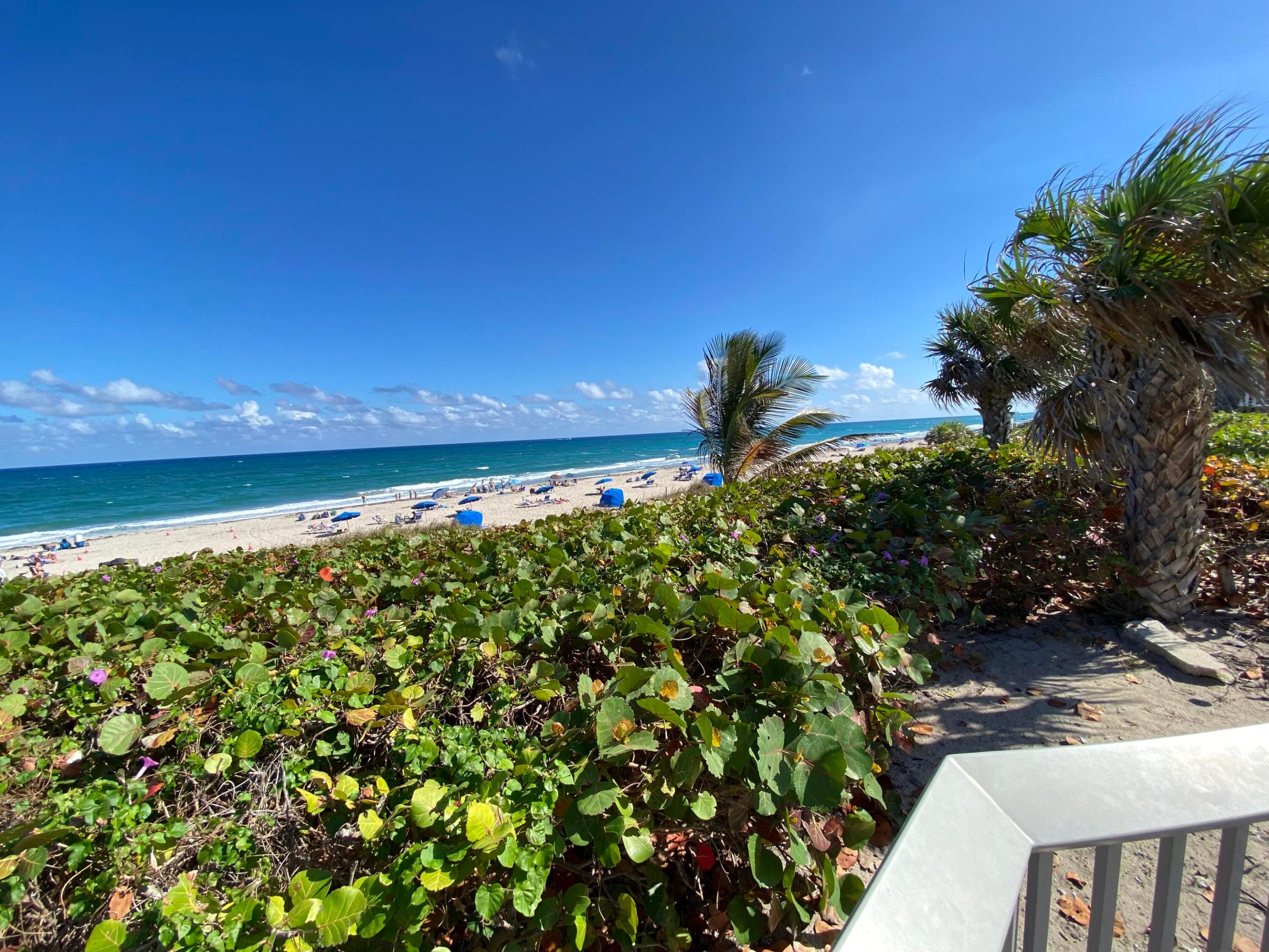 main property photo 56