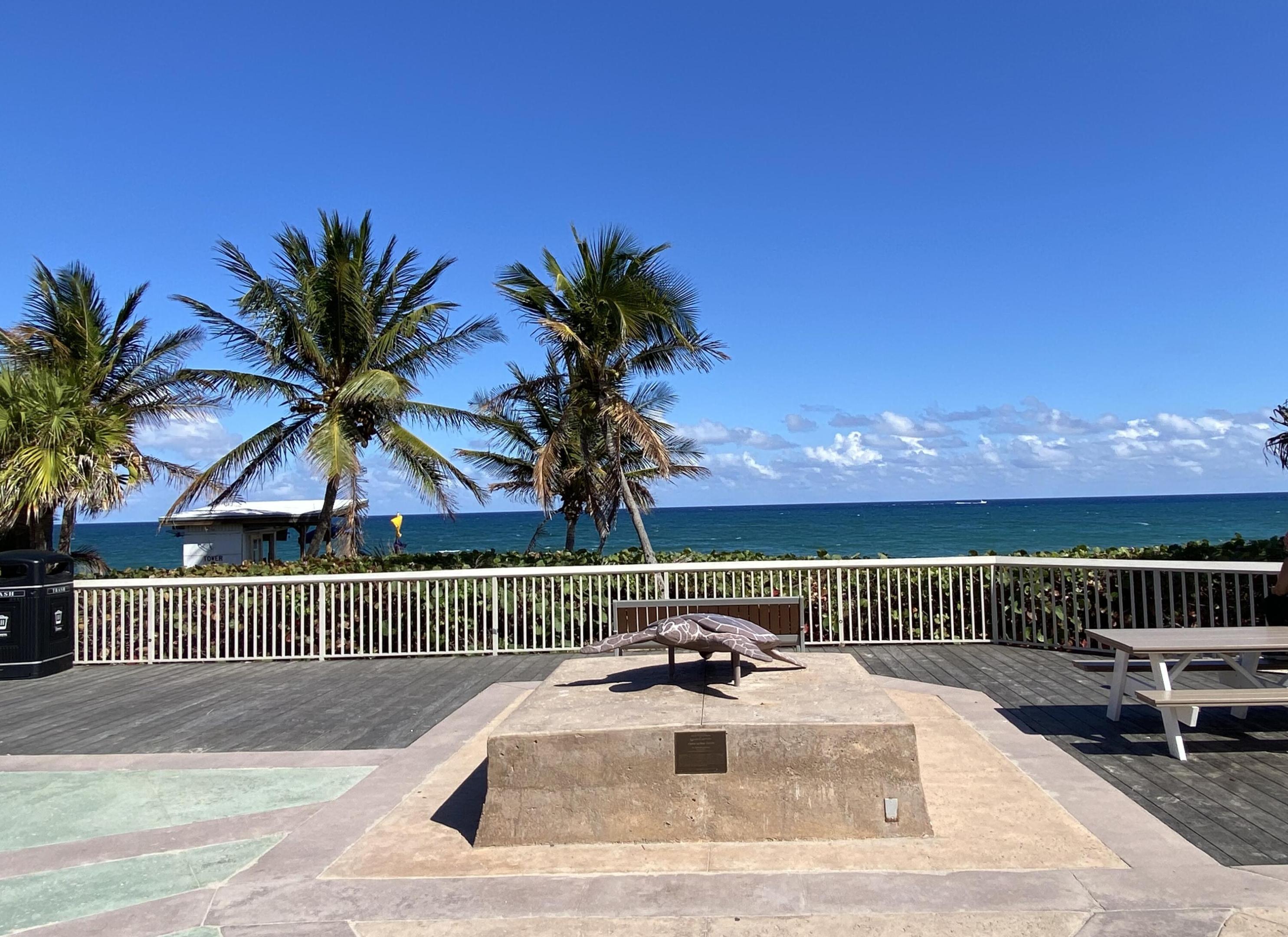 main property photo 59