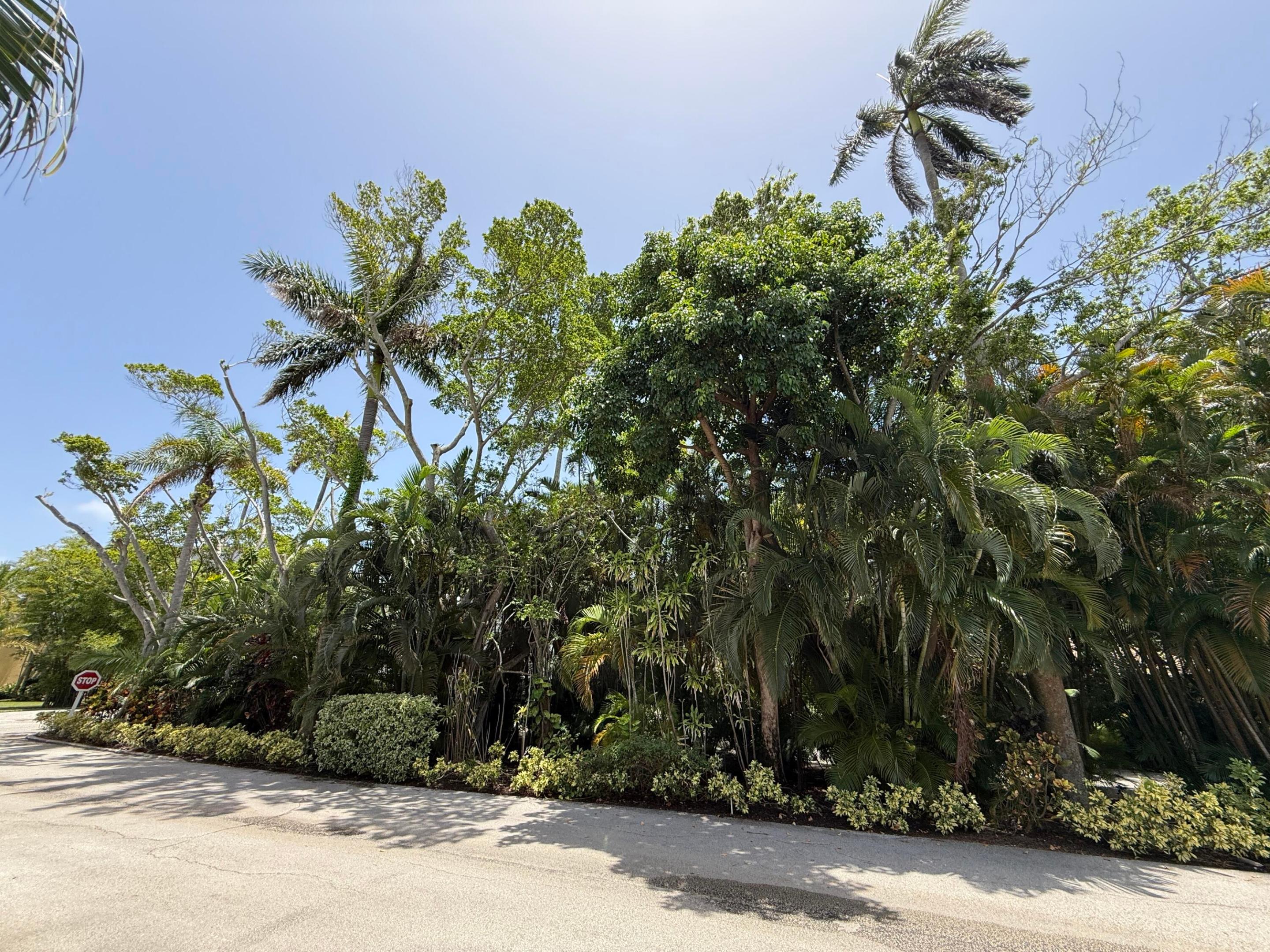 main property photo 59