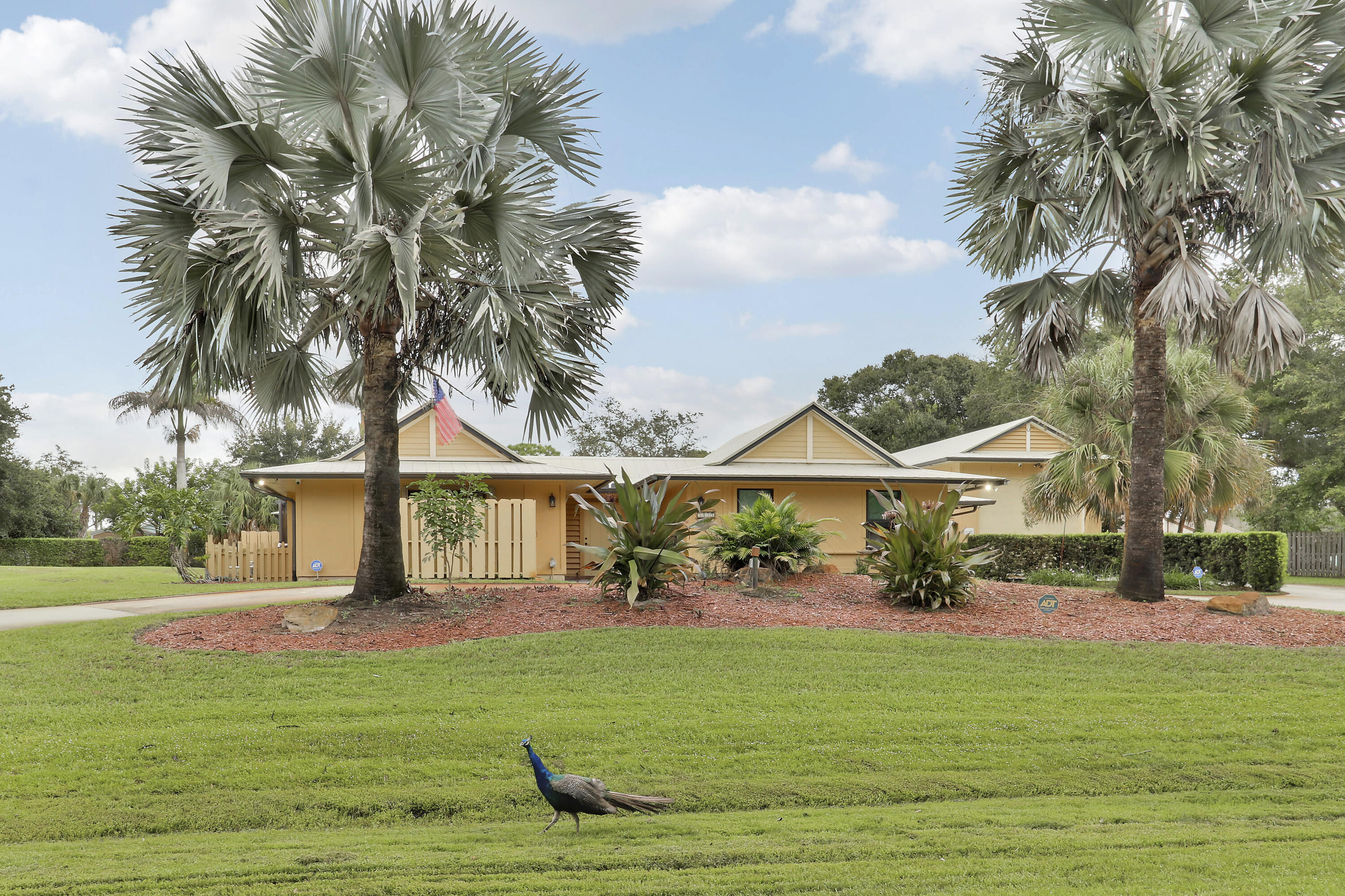 main property photo 64