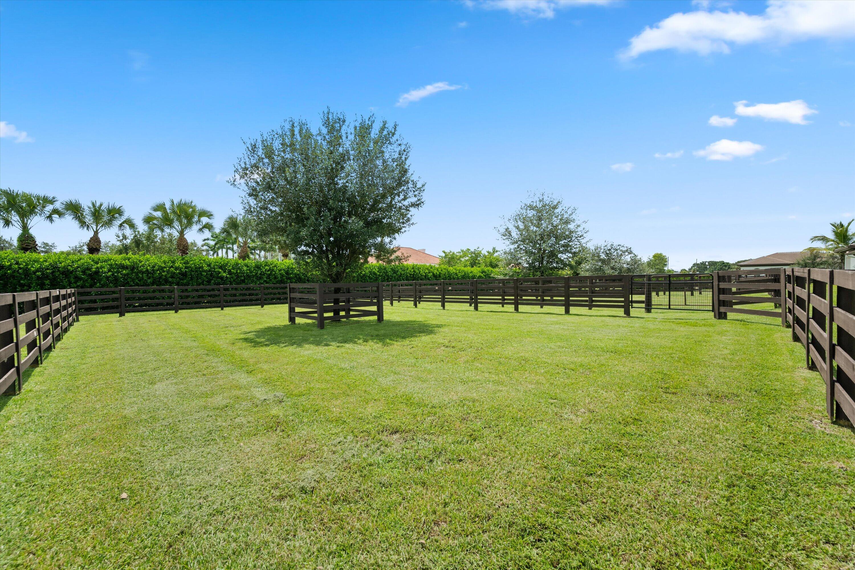 main property photo 100