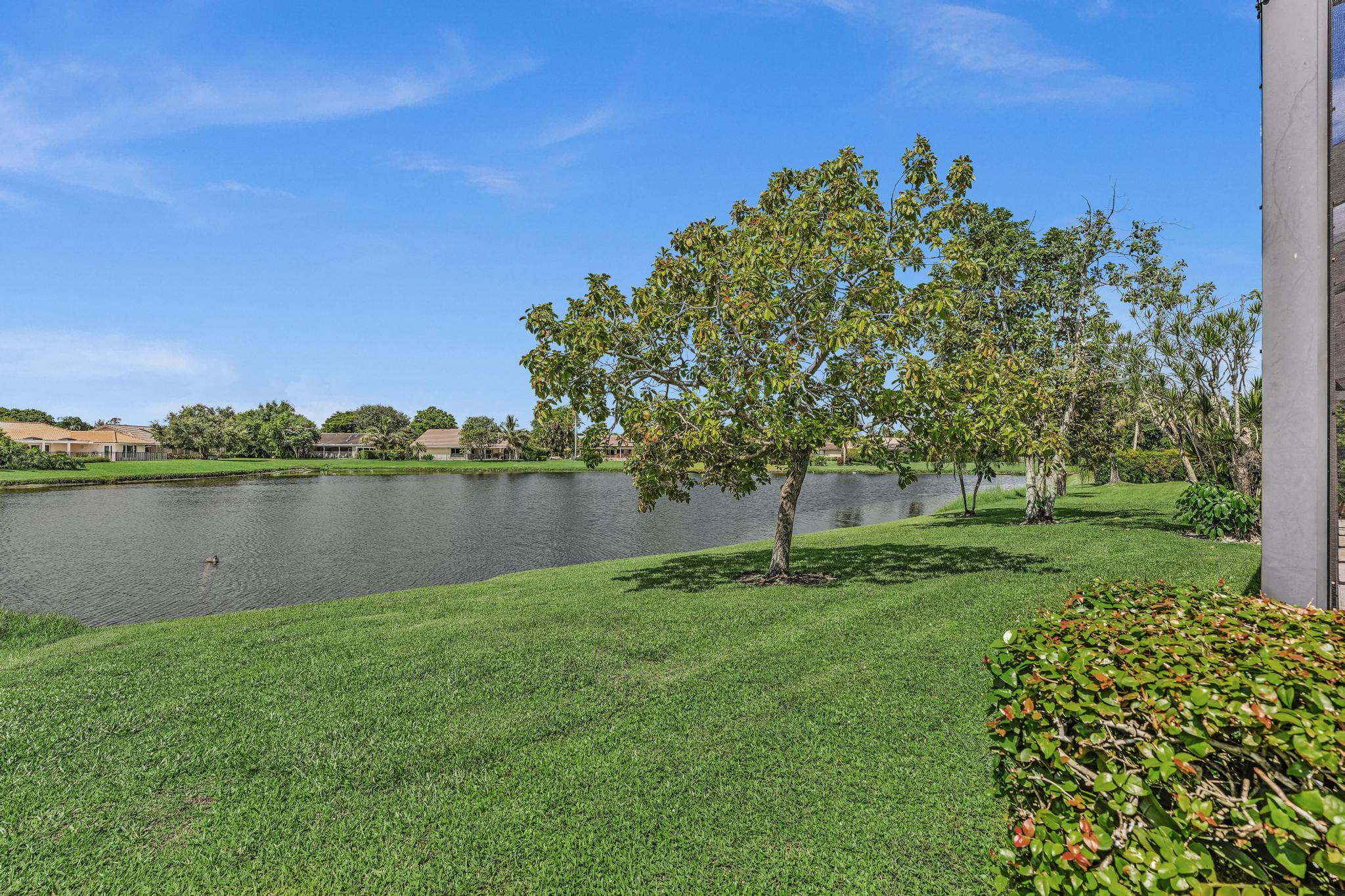 main property photo 53