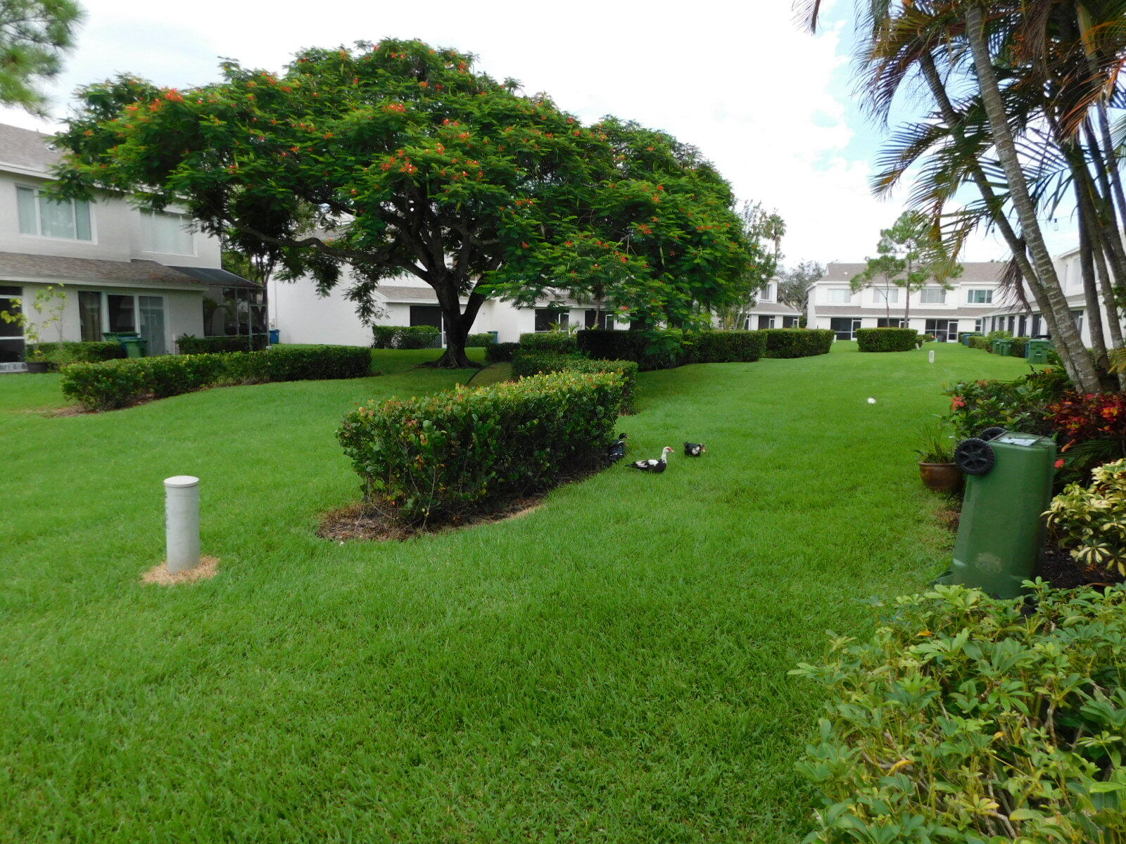 main property photo 33