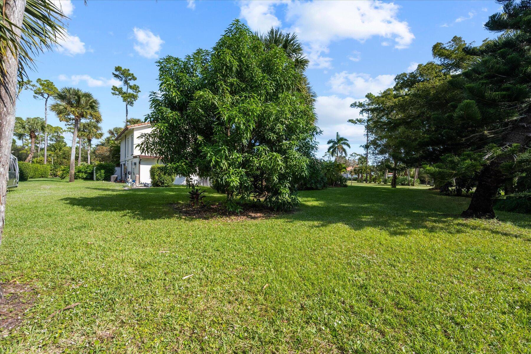 main property photo 44