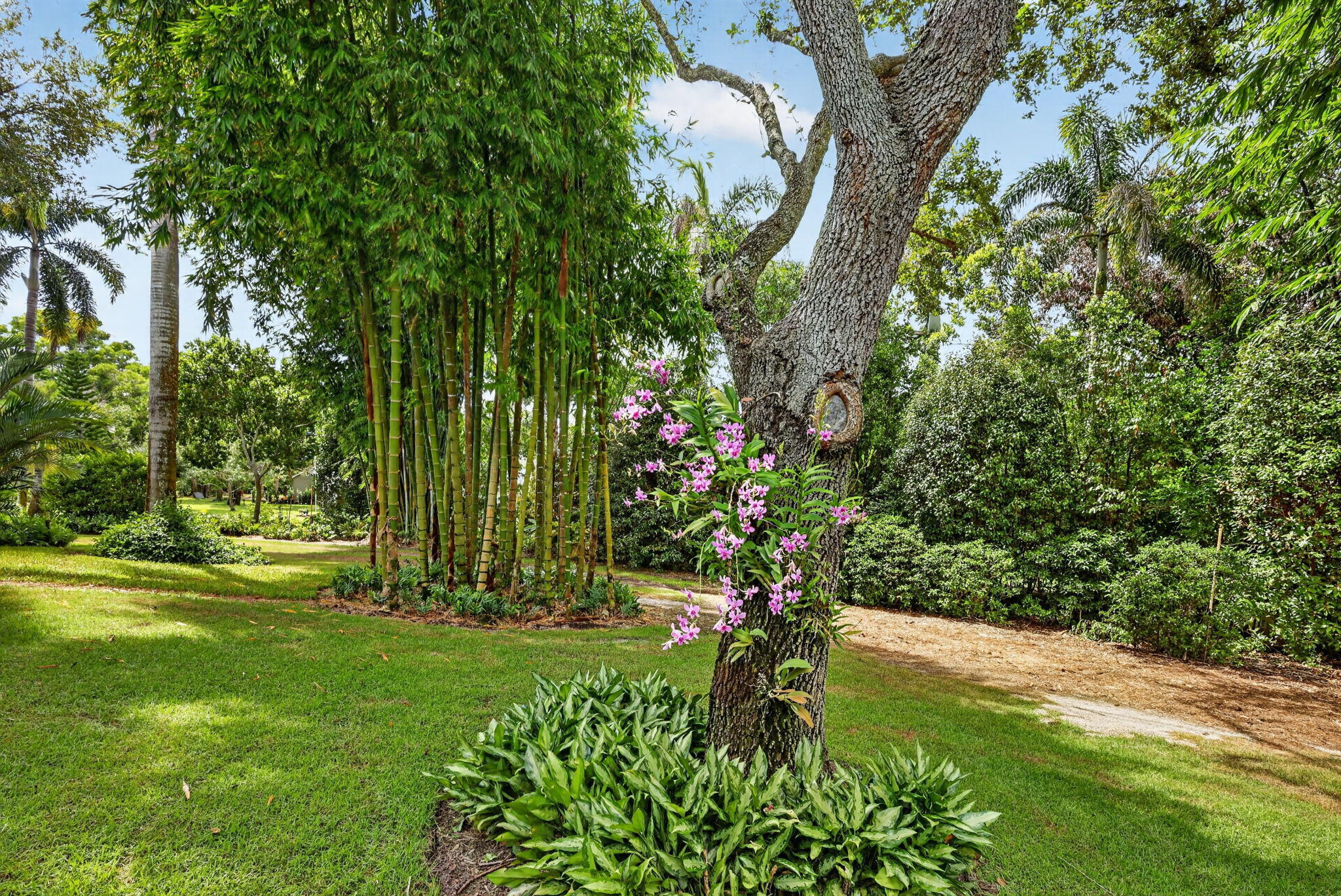 main property photo 38