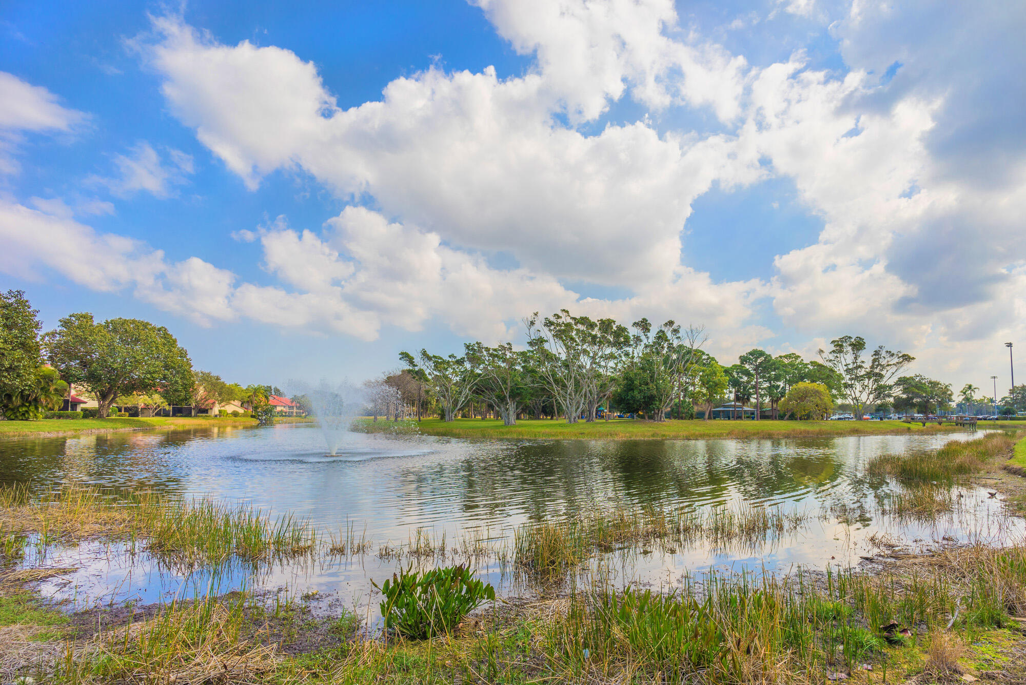 main property photo 63