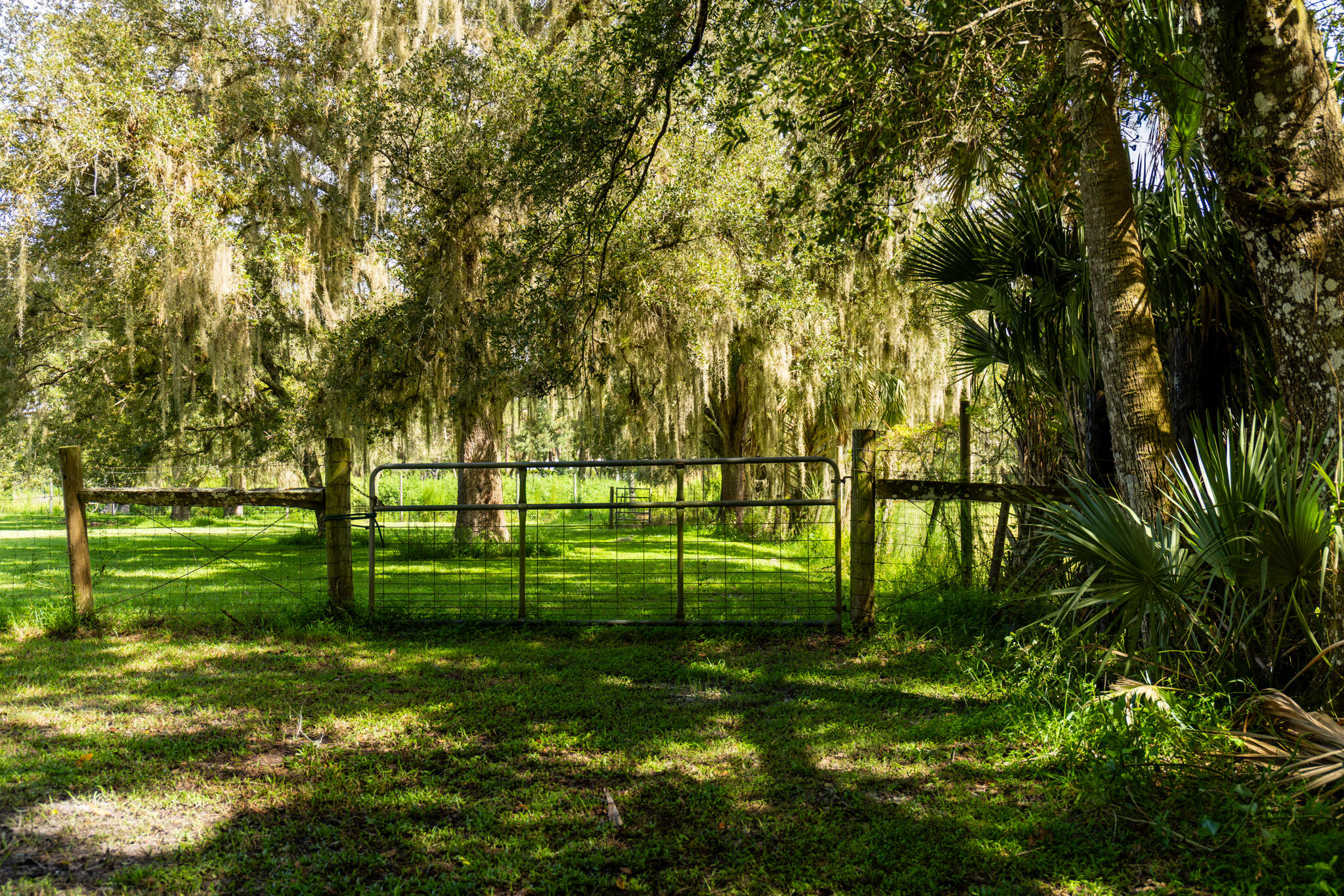 main property photo 65