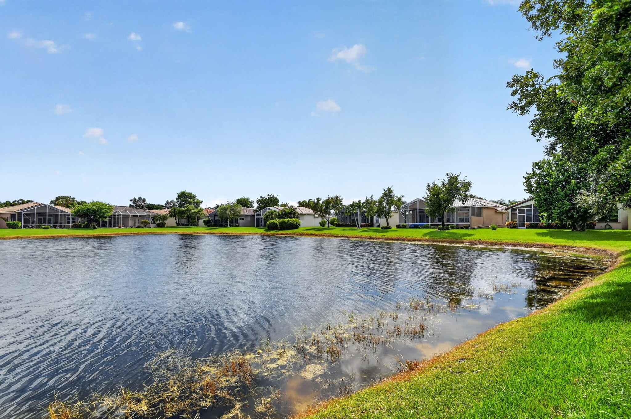 main property photo 64