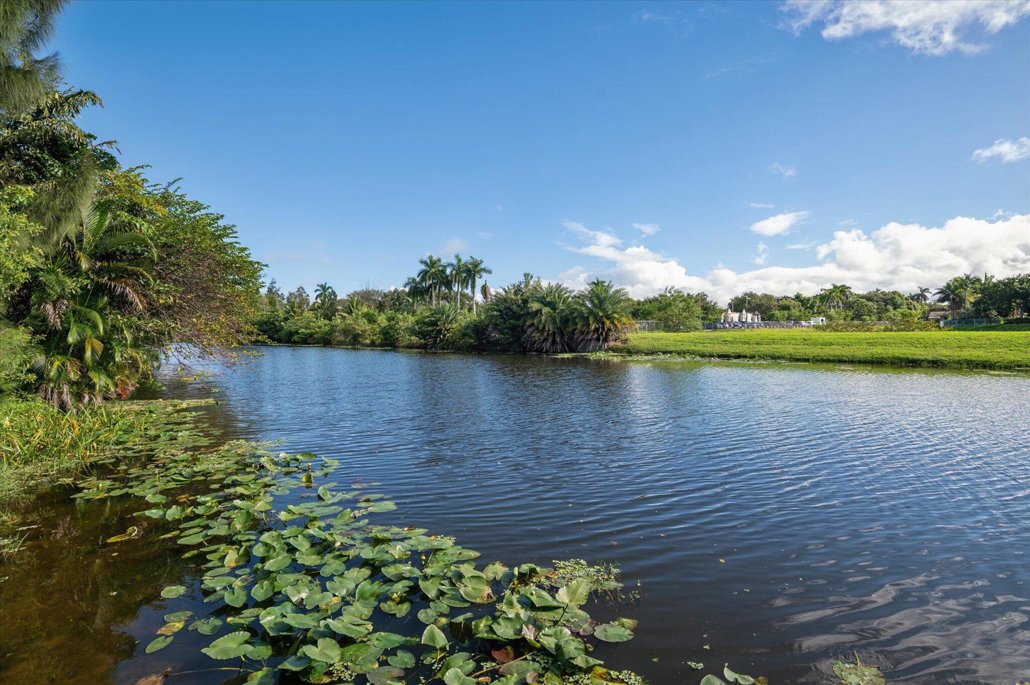 main property photo 52