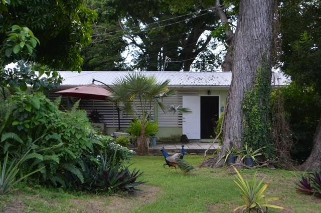 main property photo 6