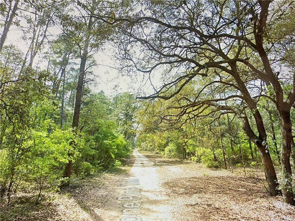 main property photo 9