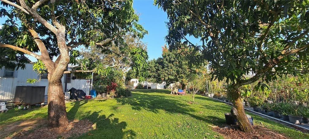 main property photo 77
