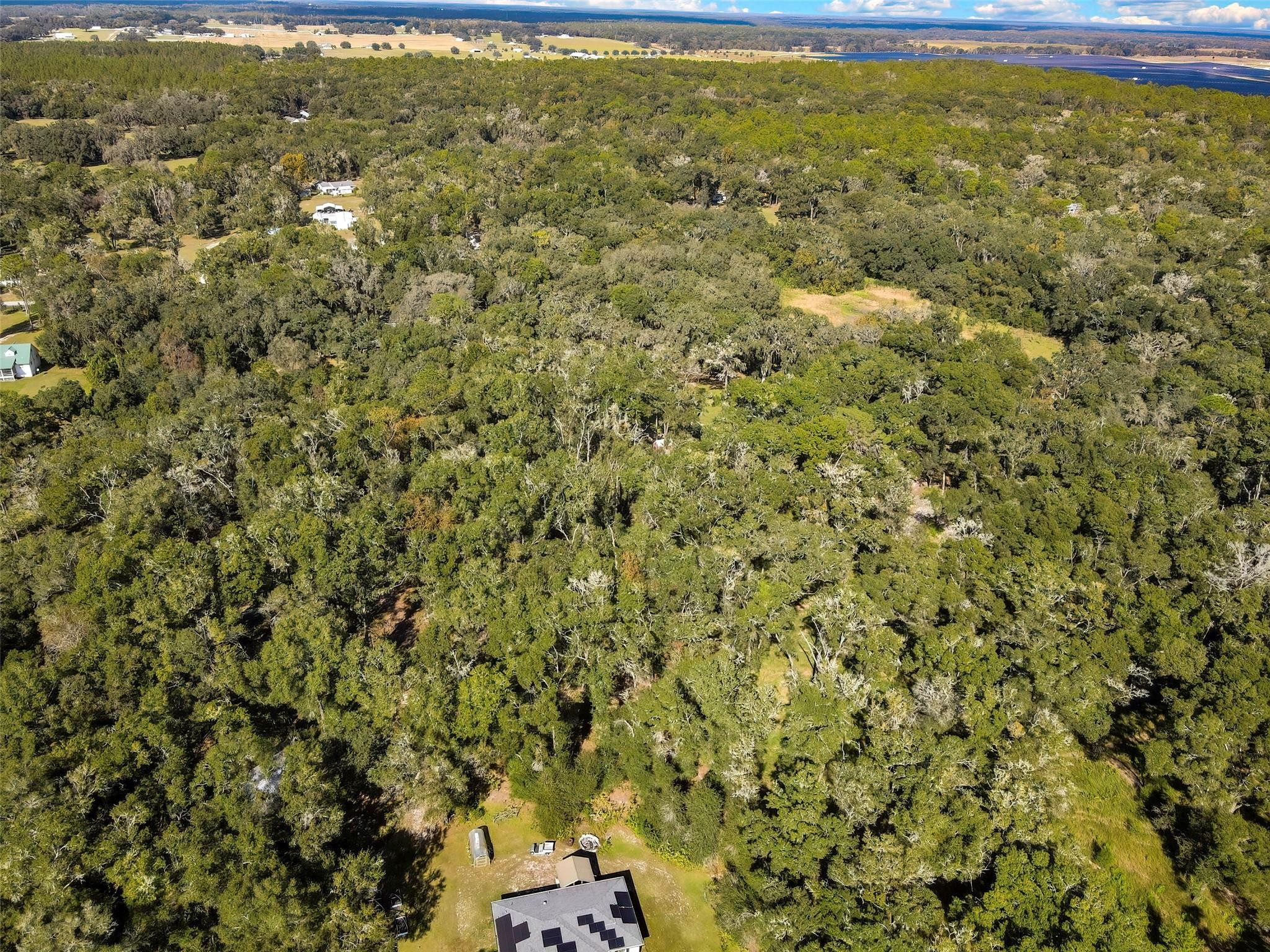 main property photo 61