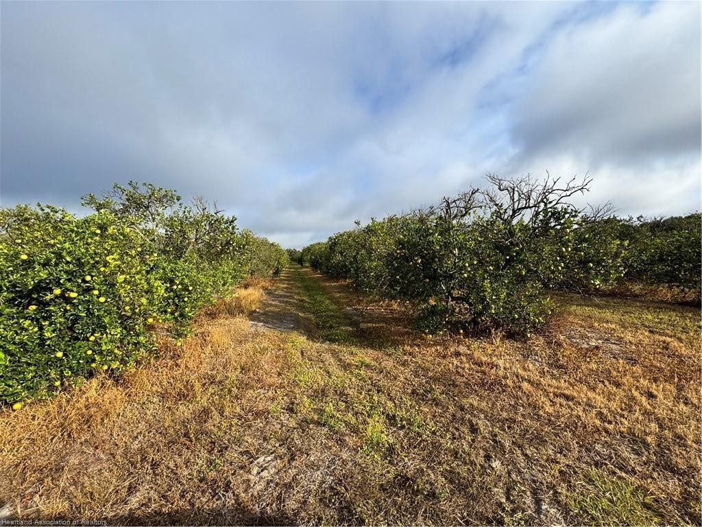 main property photo 11
