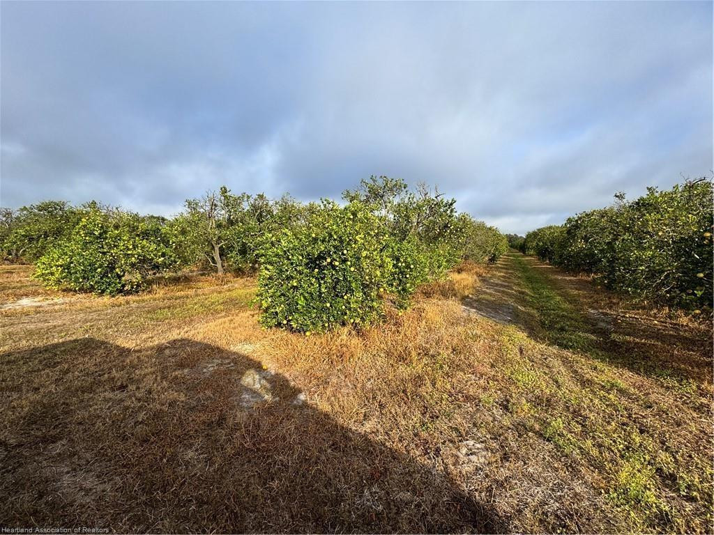 main property photo 13