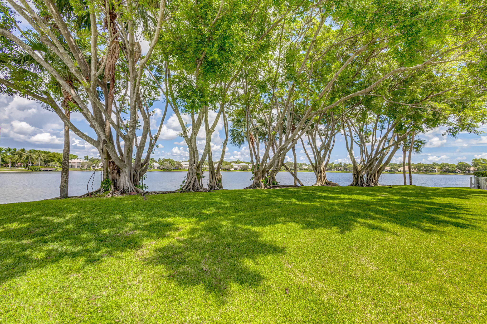 main property photo 58
