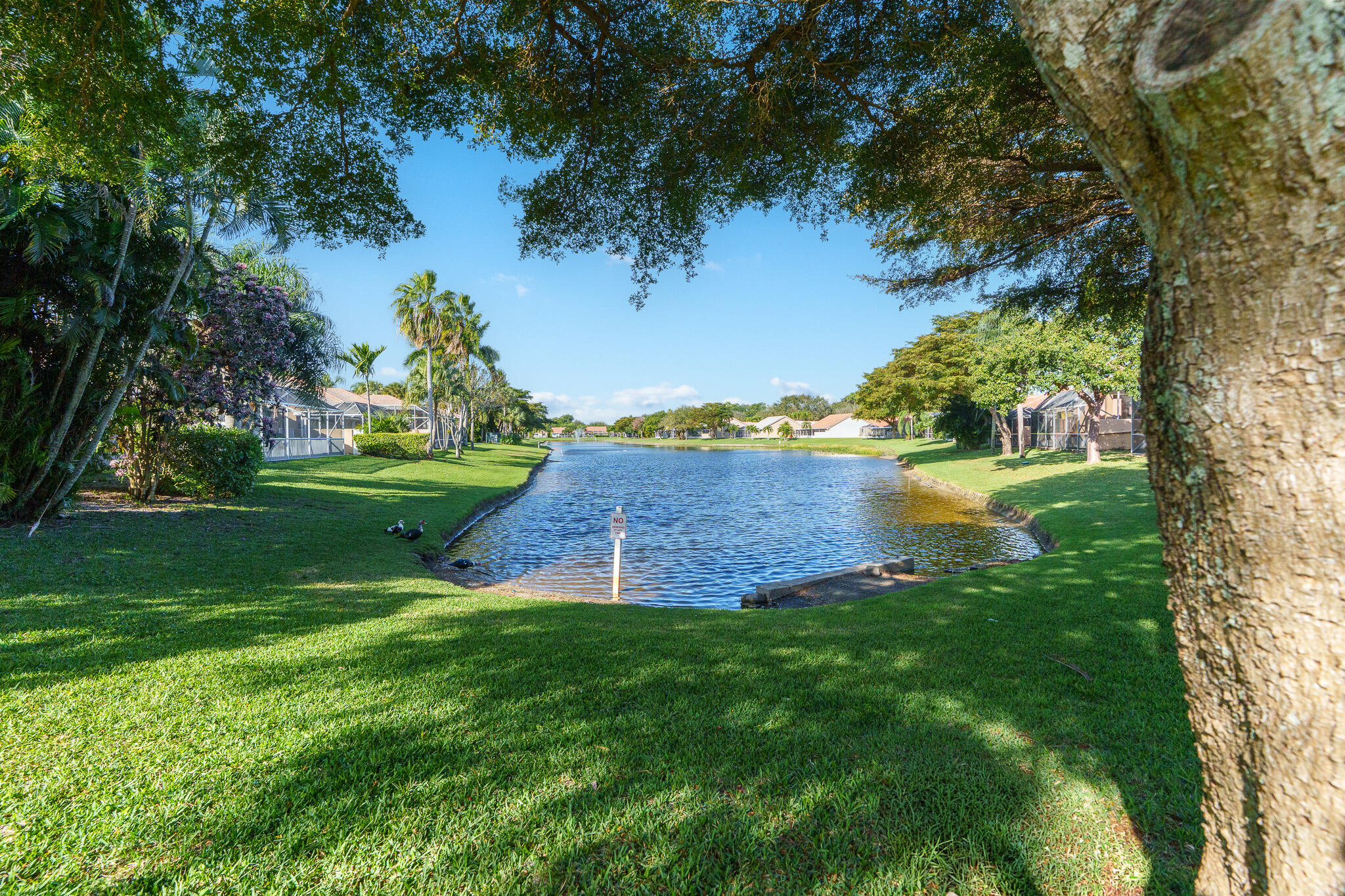 main property photo 48