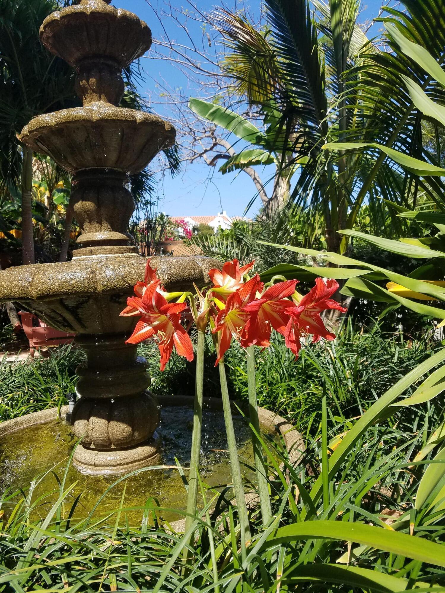 main property photo 62