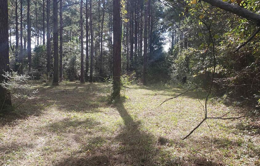 1 McRae St, Atmore, AL 36502