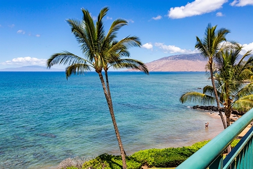 12+ Big Island Craigs List
