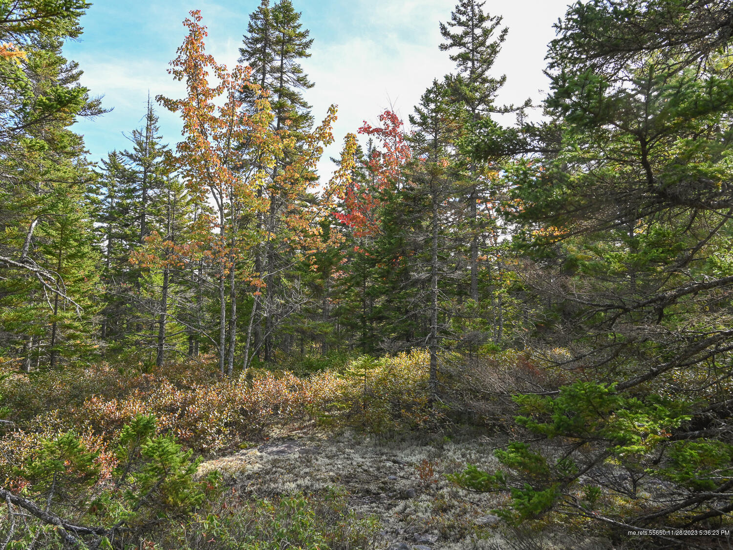 main property photo 7