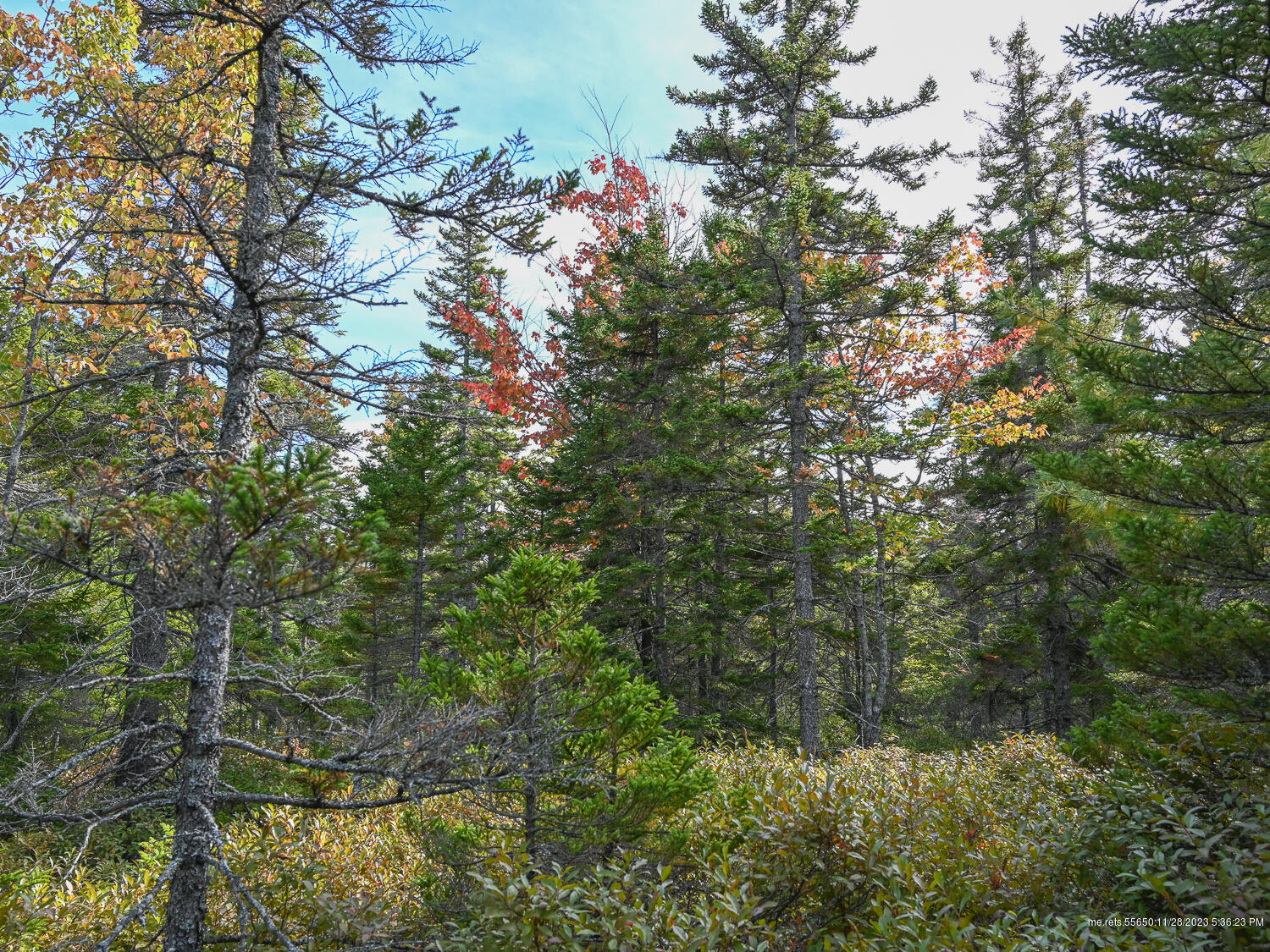 main property photo 8