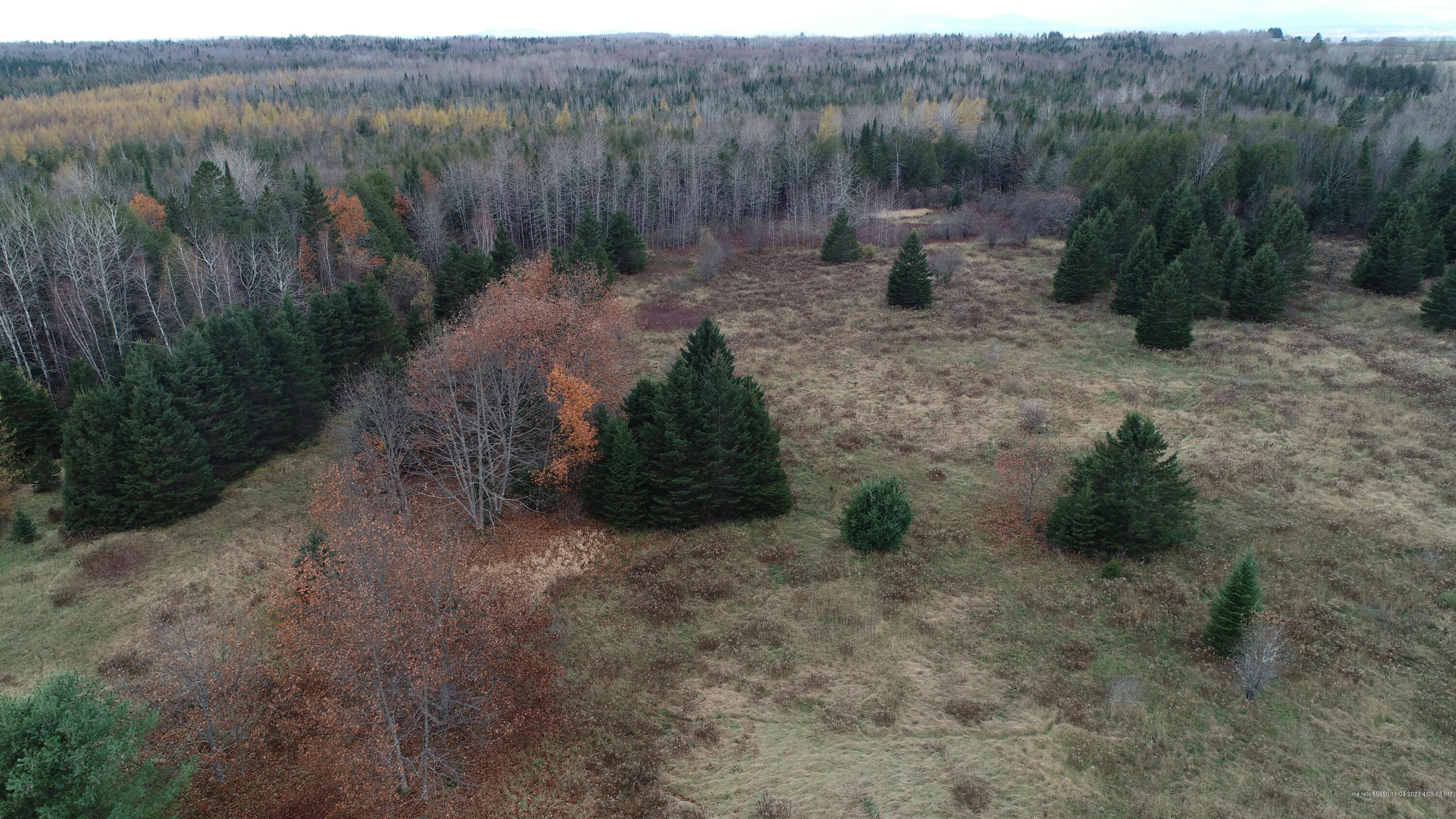 main property photo 43