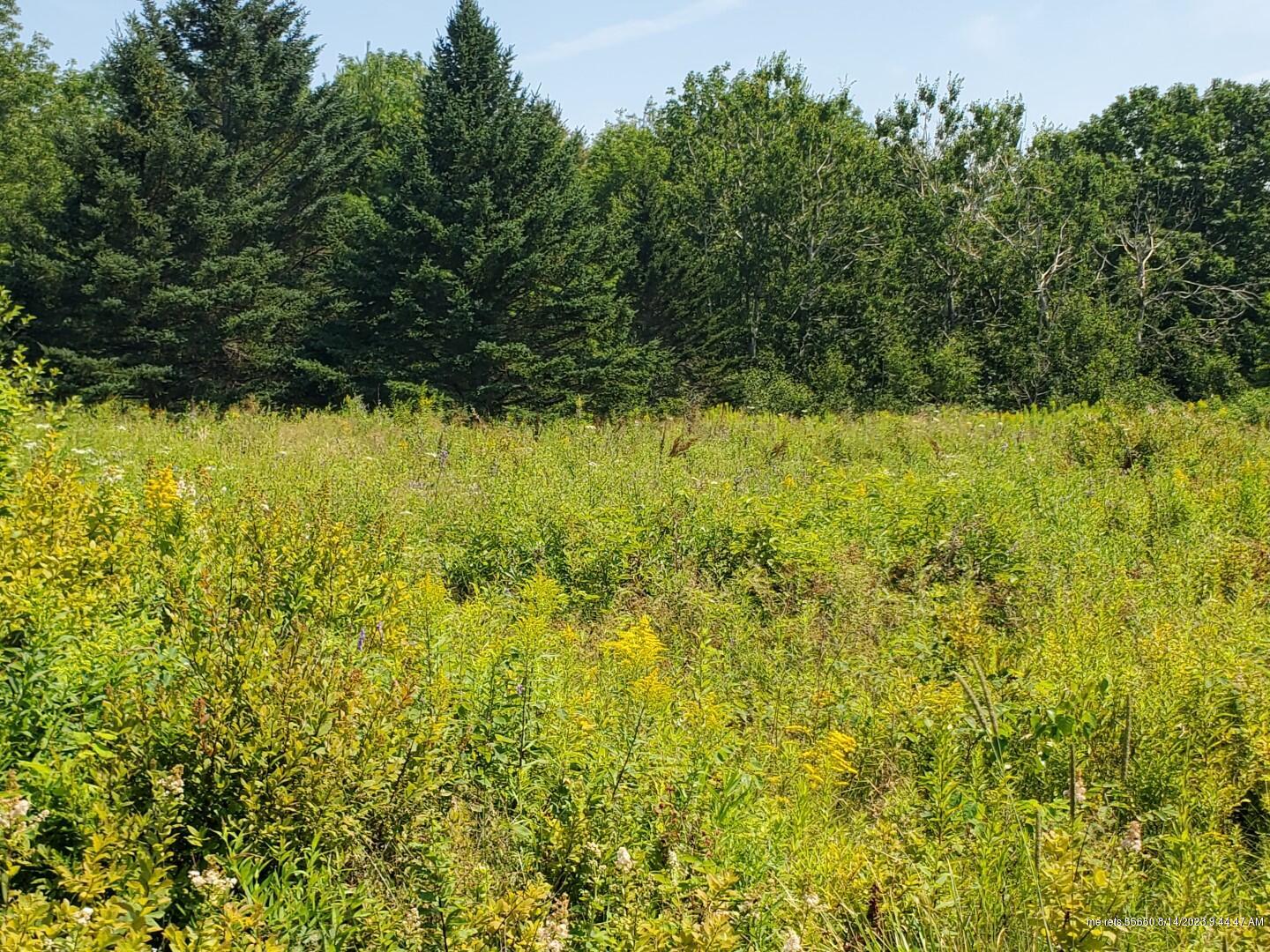main property photo 8