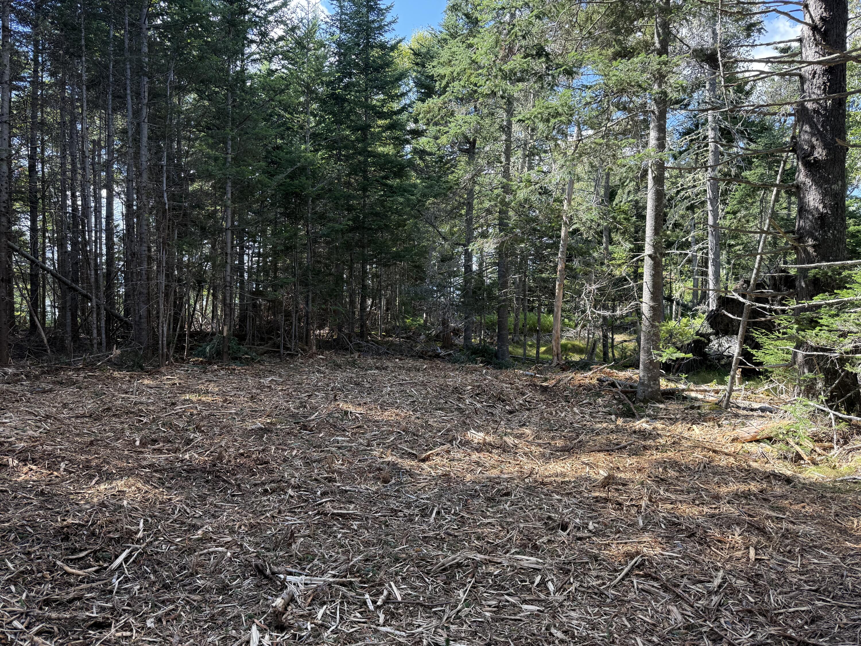 main property photo 18