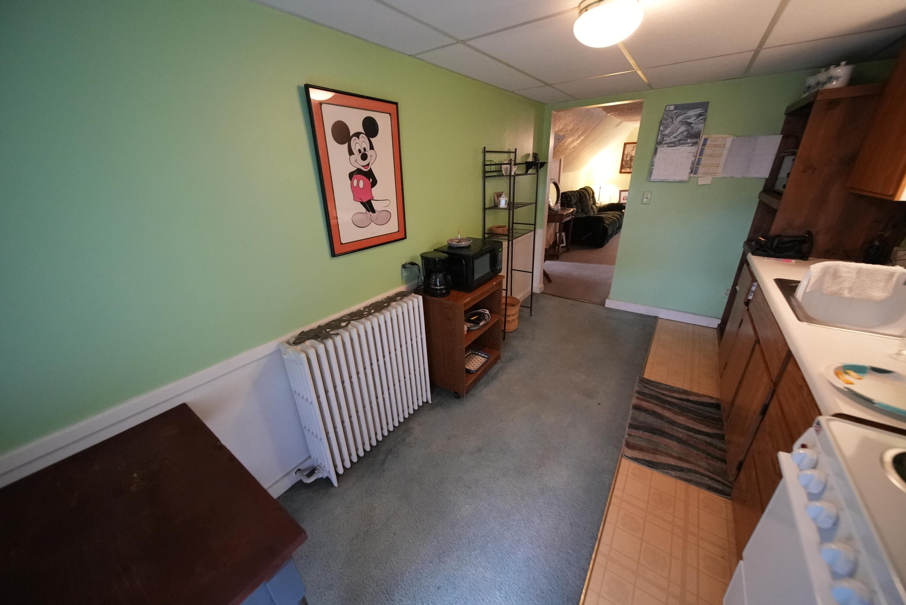 main property photo 101