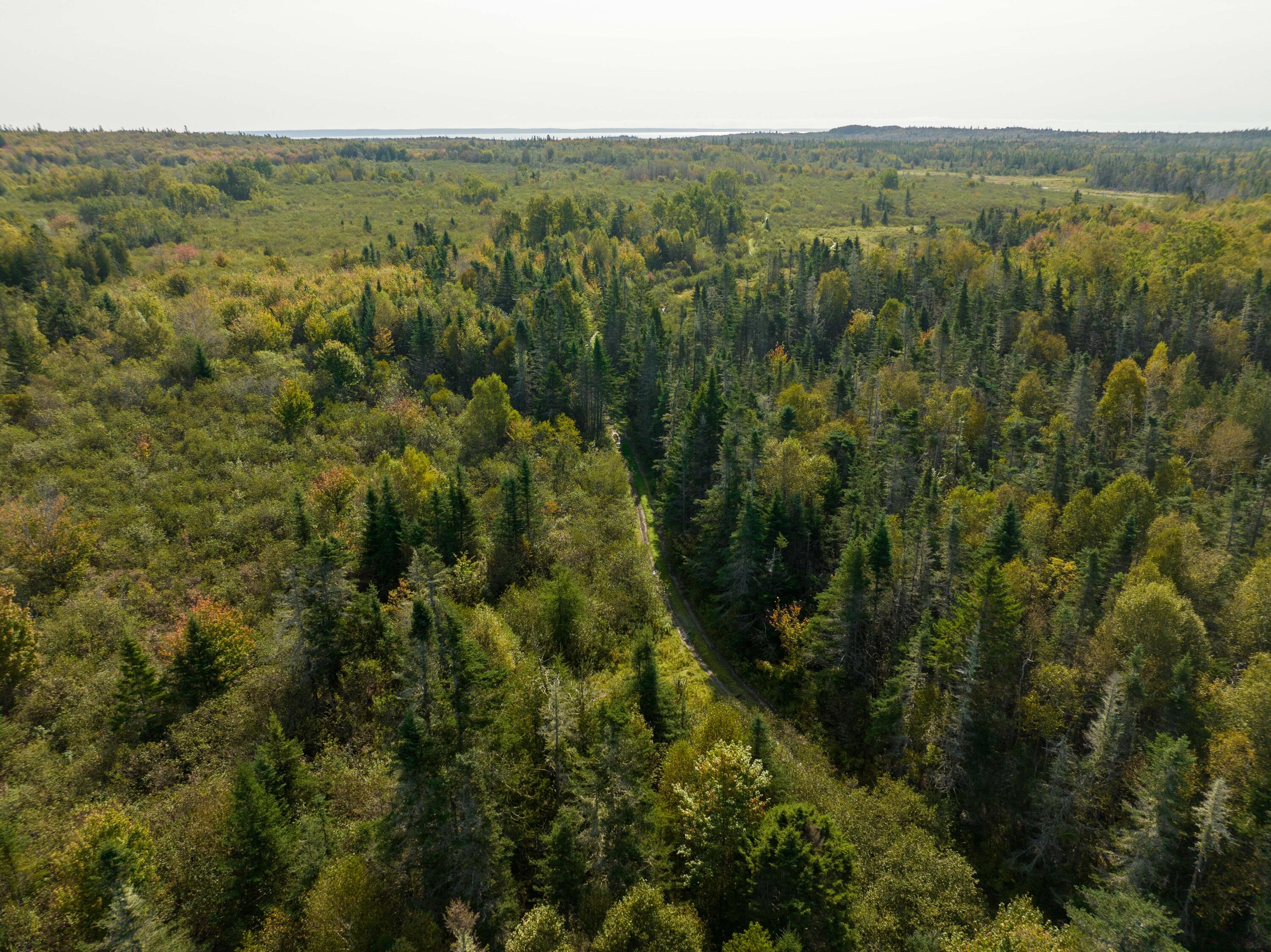 main property photo 51