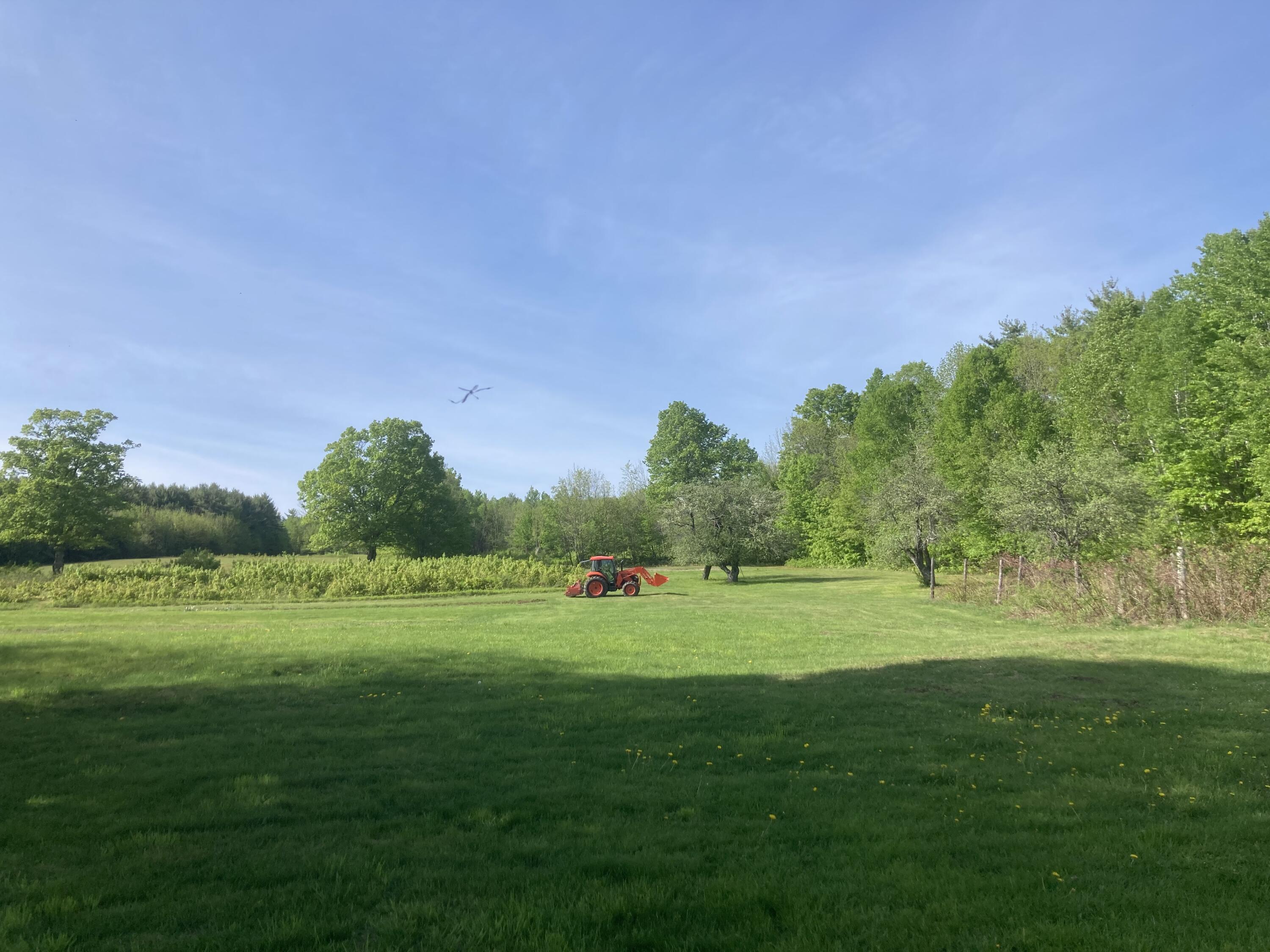 main property photo 26