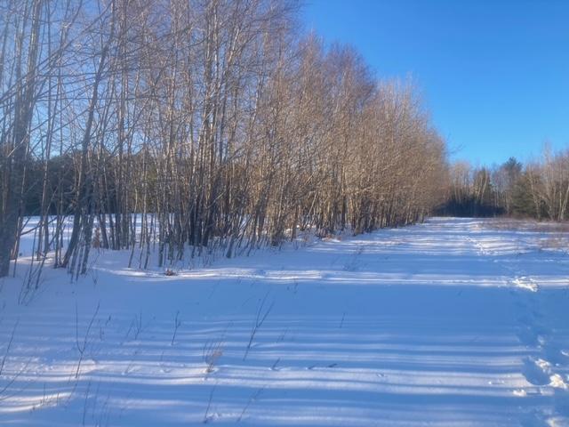 main property photo 56