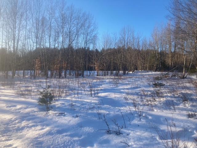 main property photo 58