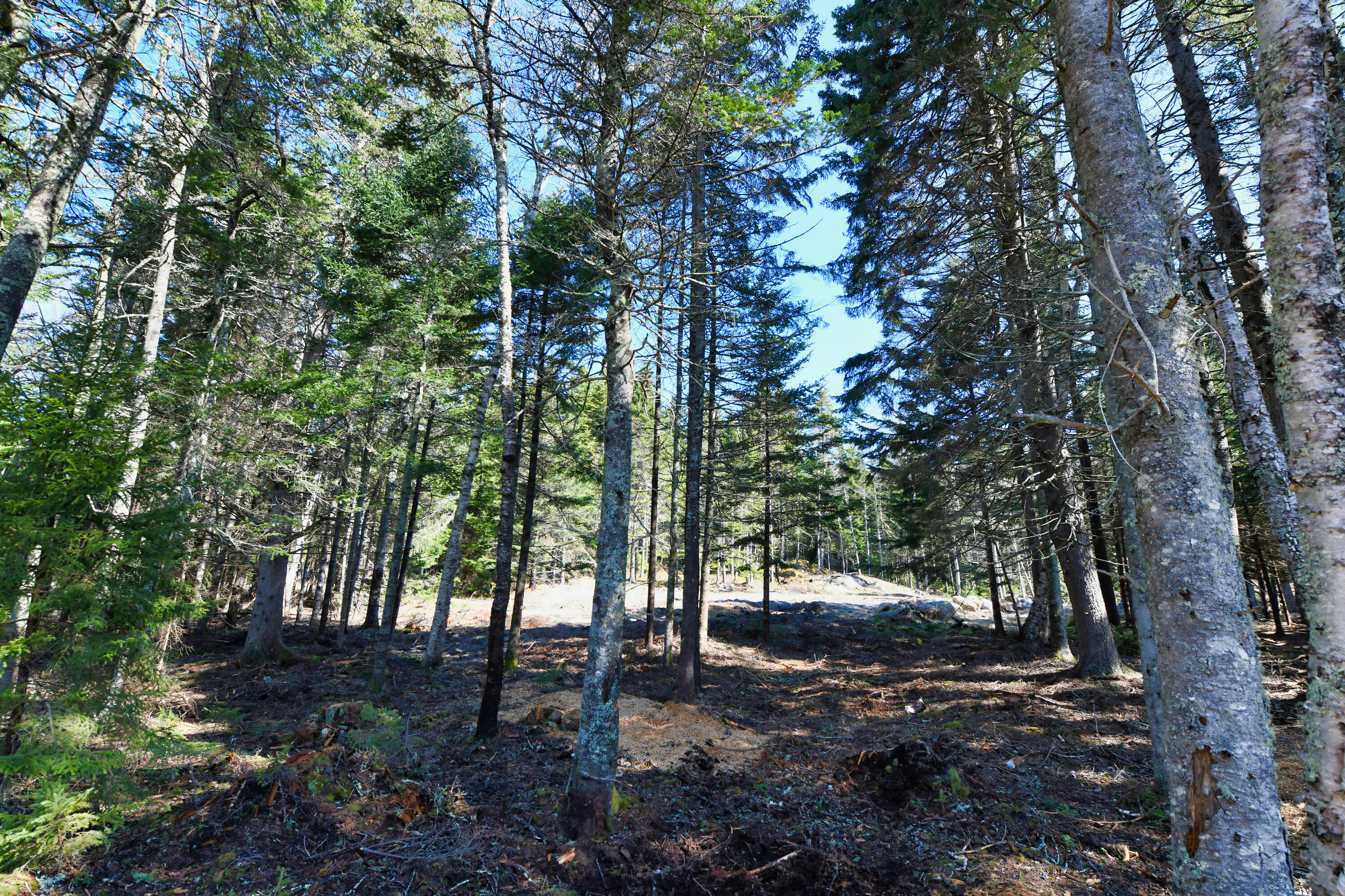 property viewer photo 18