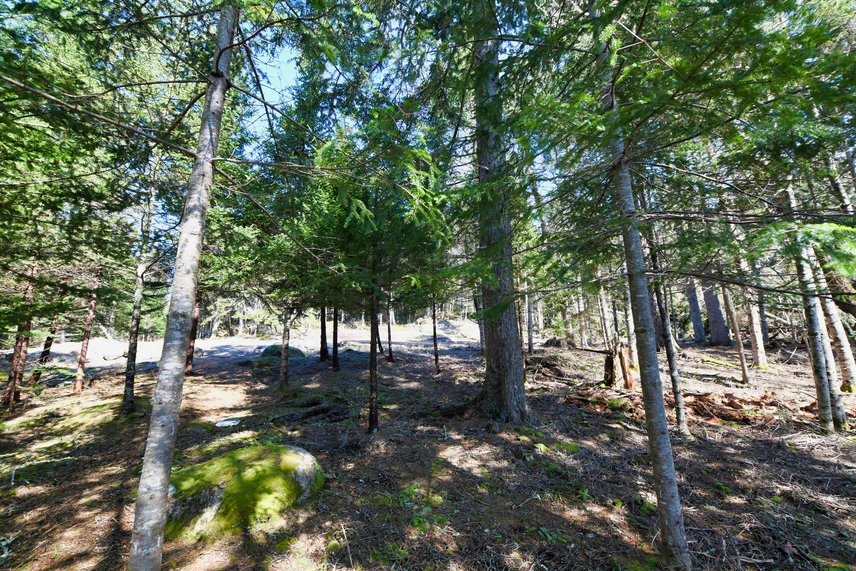 property viewer photo 24